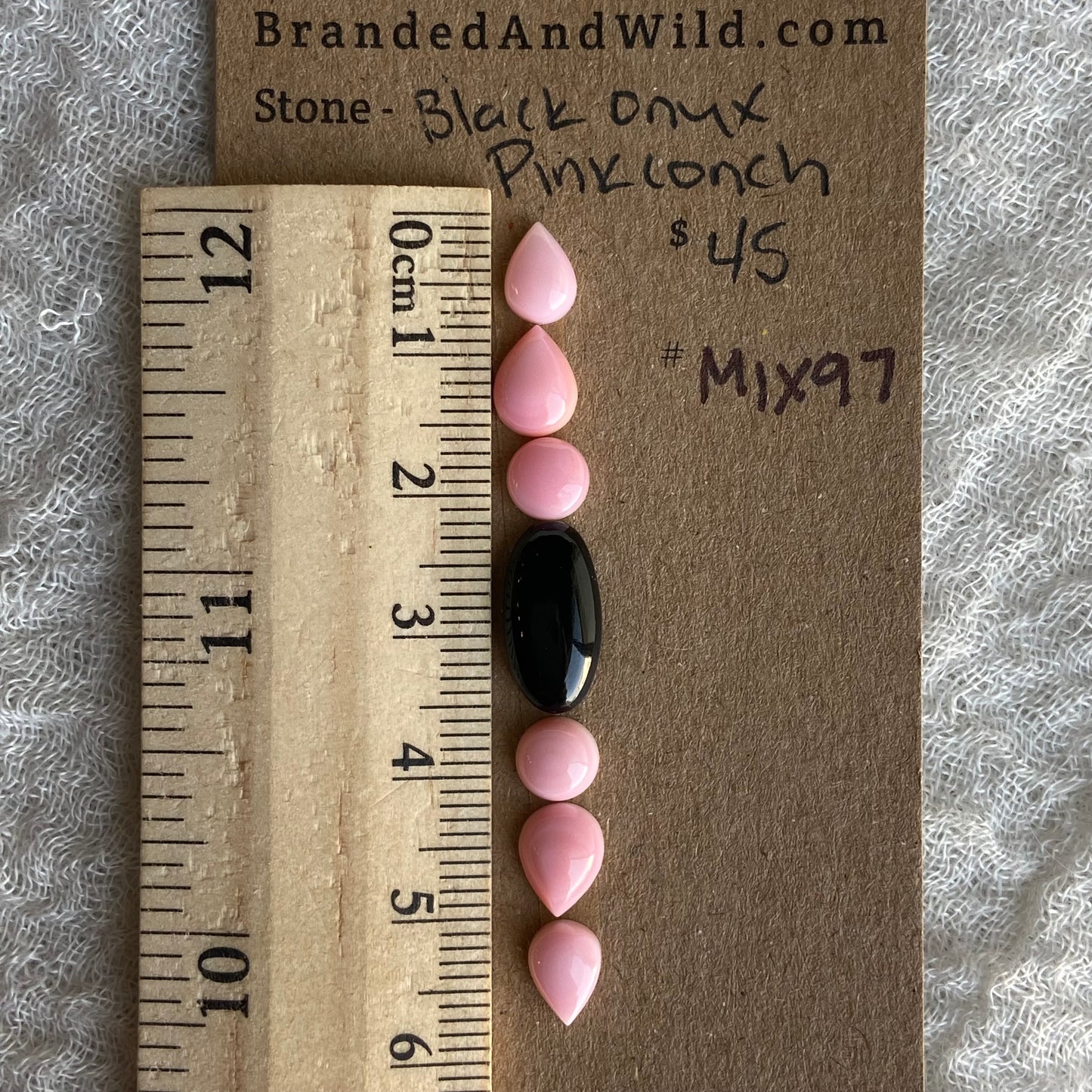 Pink Conch - Black Onyx Cabochon - MIX97