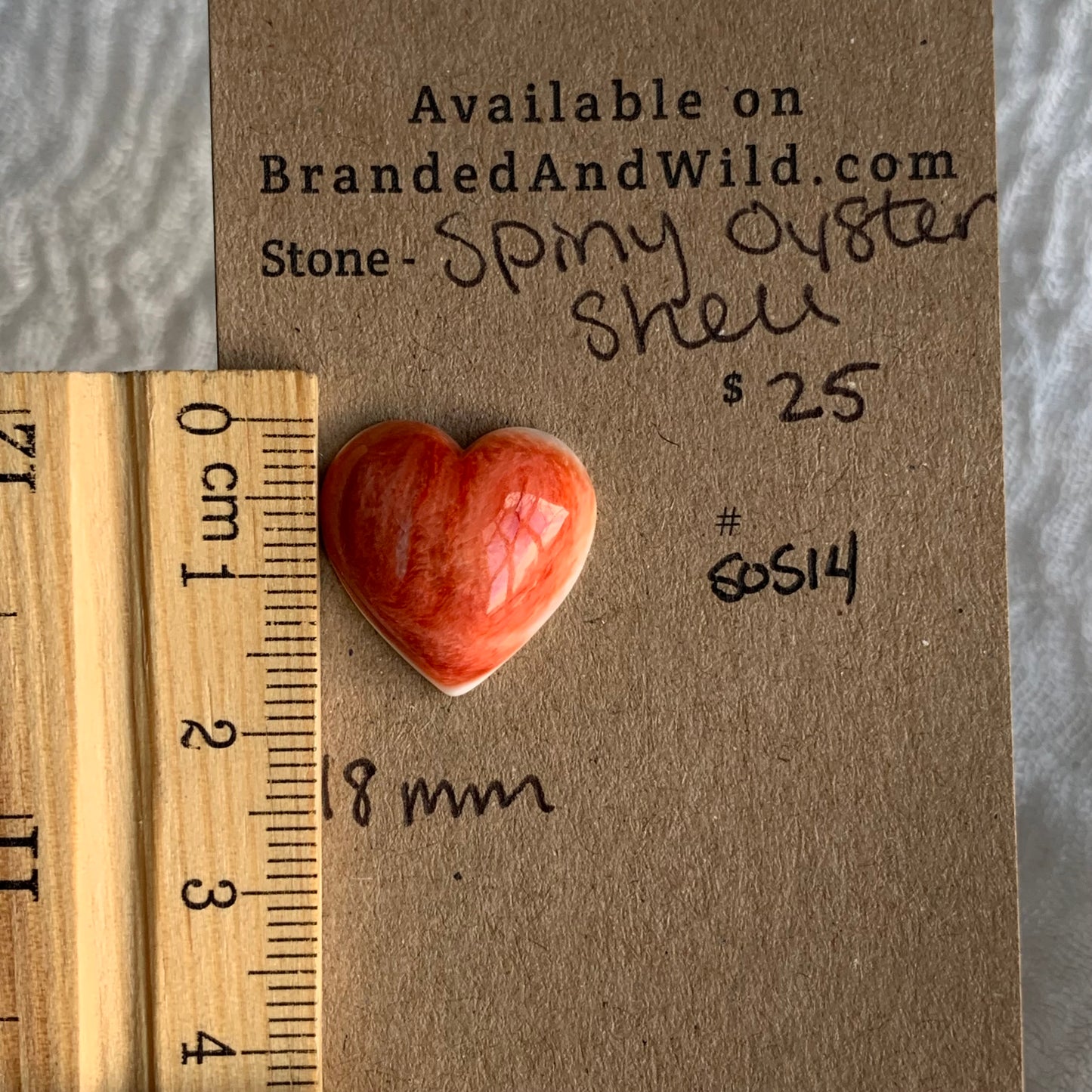 Spiny Oyster Shell Cabochon - SOS14