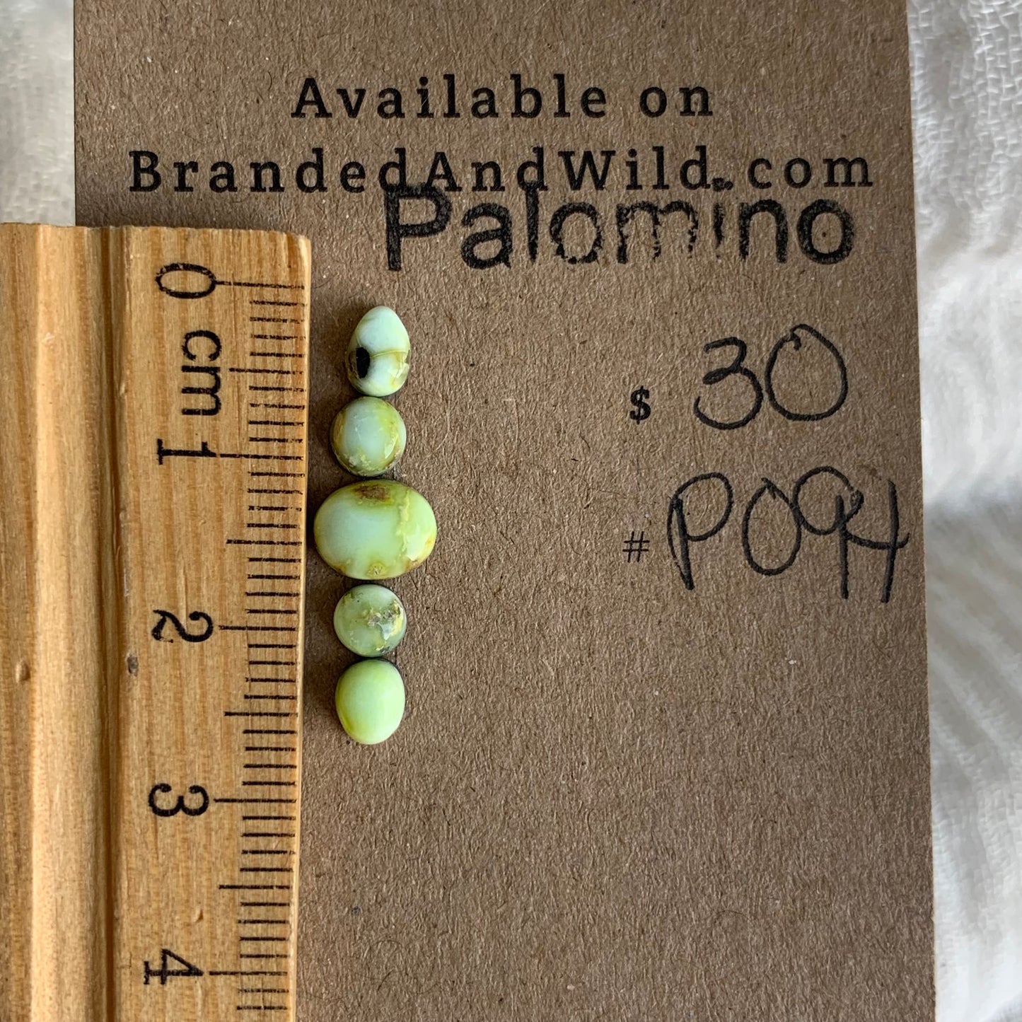 Palomino Cabochon - P094