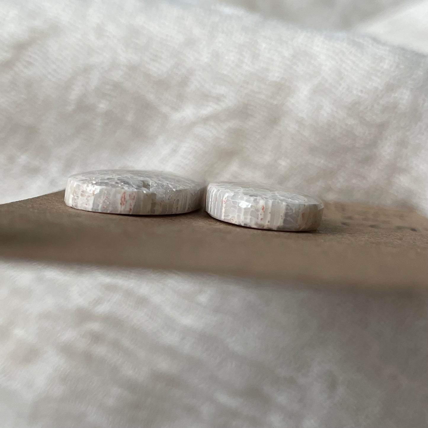 Fossil Coral Cabochon - FC93 E3D5B711-E3A5-4460-82C0-54C626007046 Brandedandwild.com