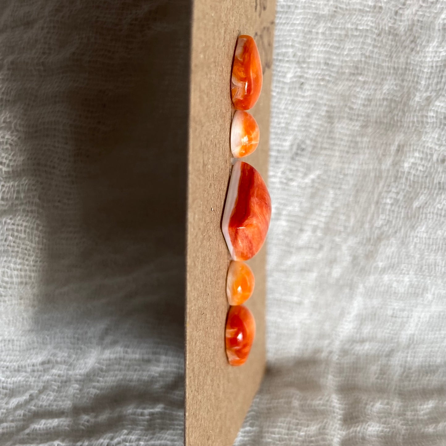 Oystershell Cabochon - SOS25