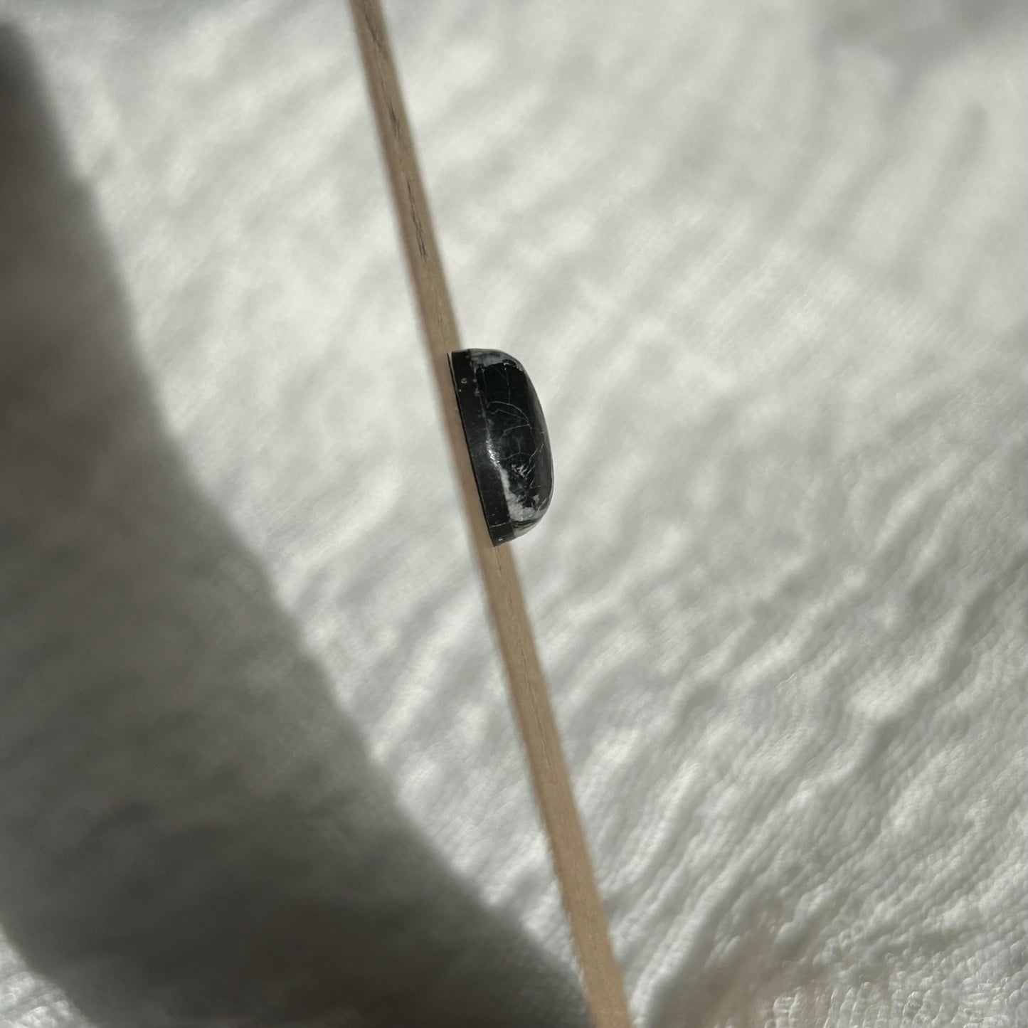 White Buffalo Cabochon - WB24