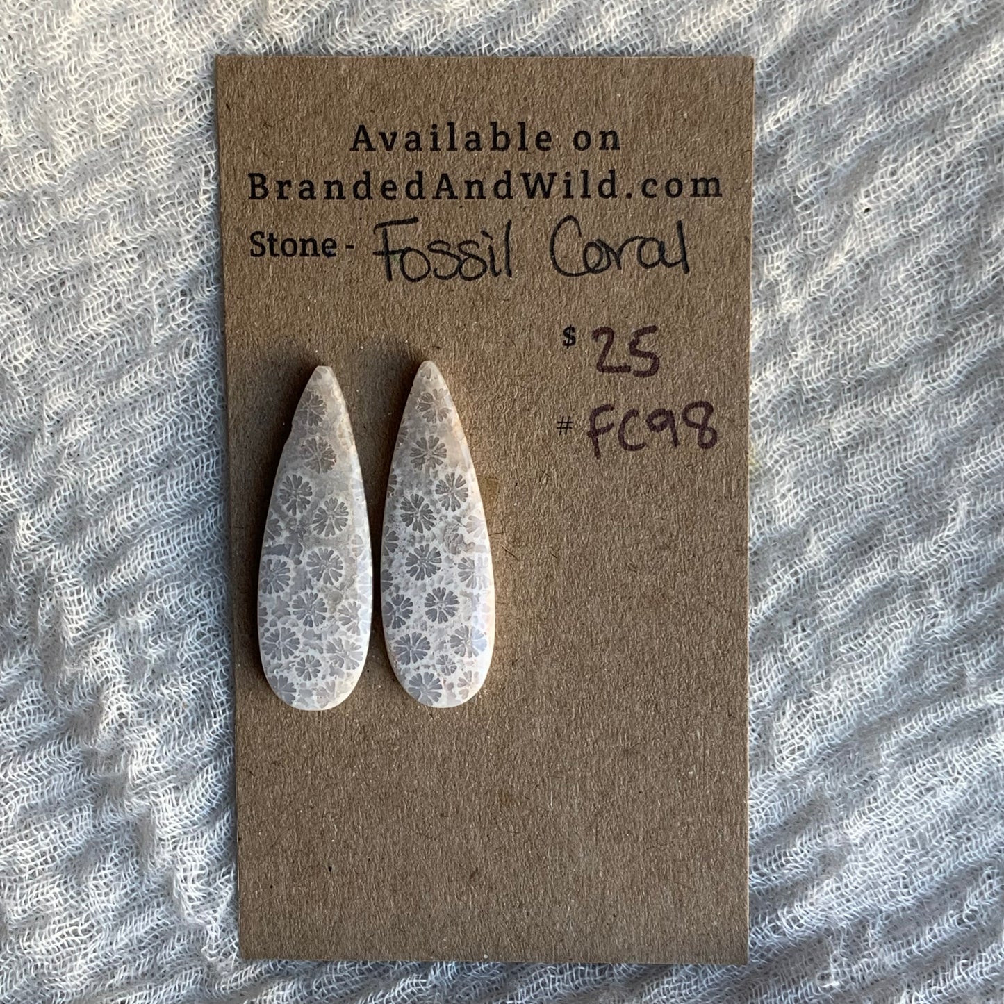 Fossil Coral Cabochon - FC98