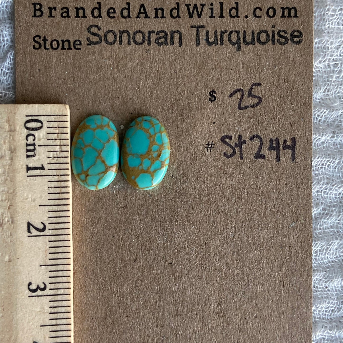Sonoran Turquoise Cabochon - ST244