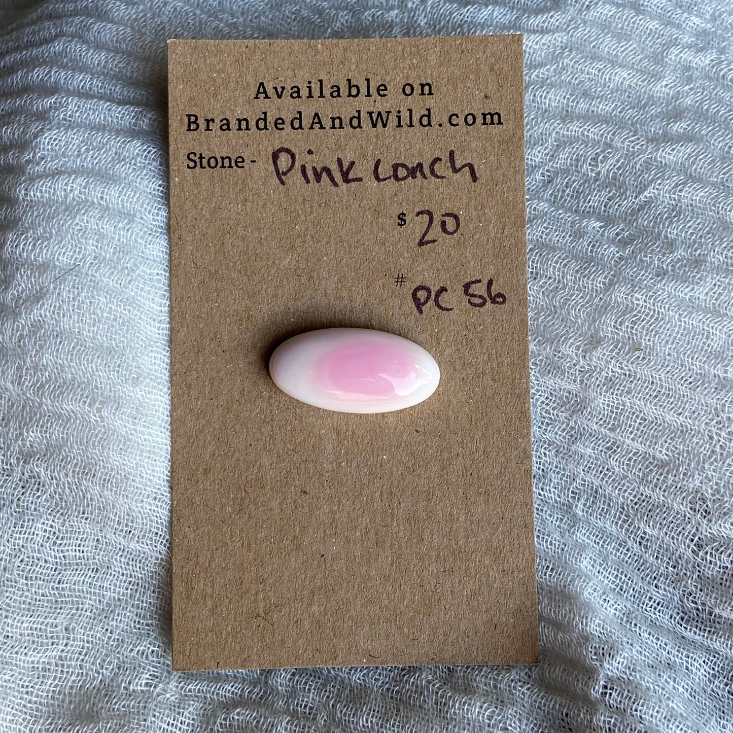 Pink Conch Cabochon - PC56