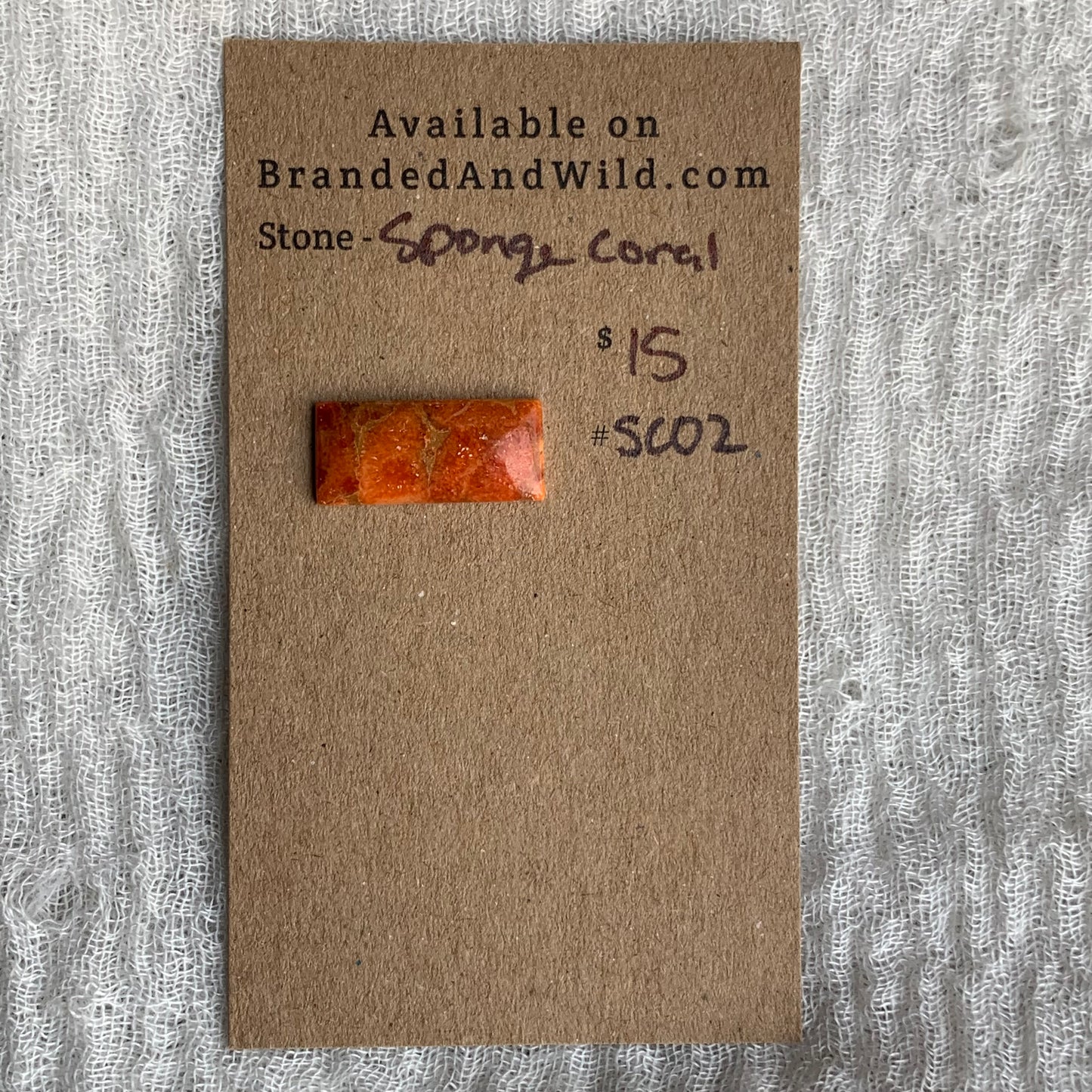 Sponge Coral Cabochon - SC02