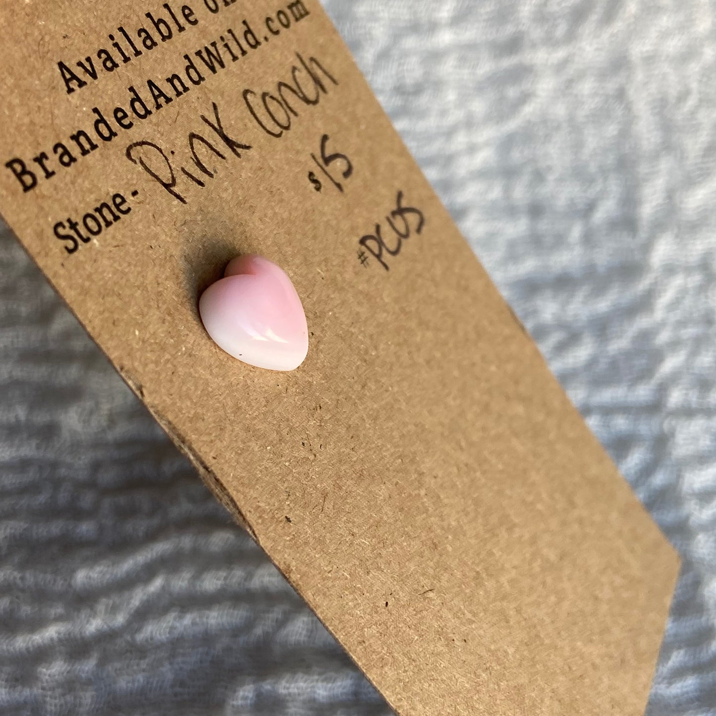 Pink Conch Cabochon - PC05