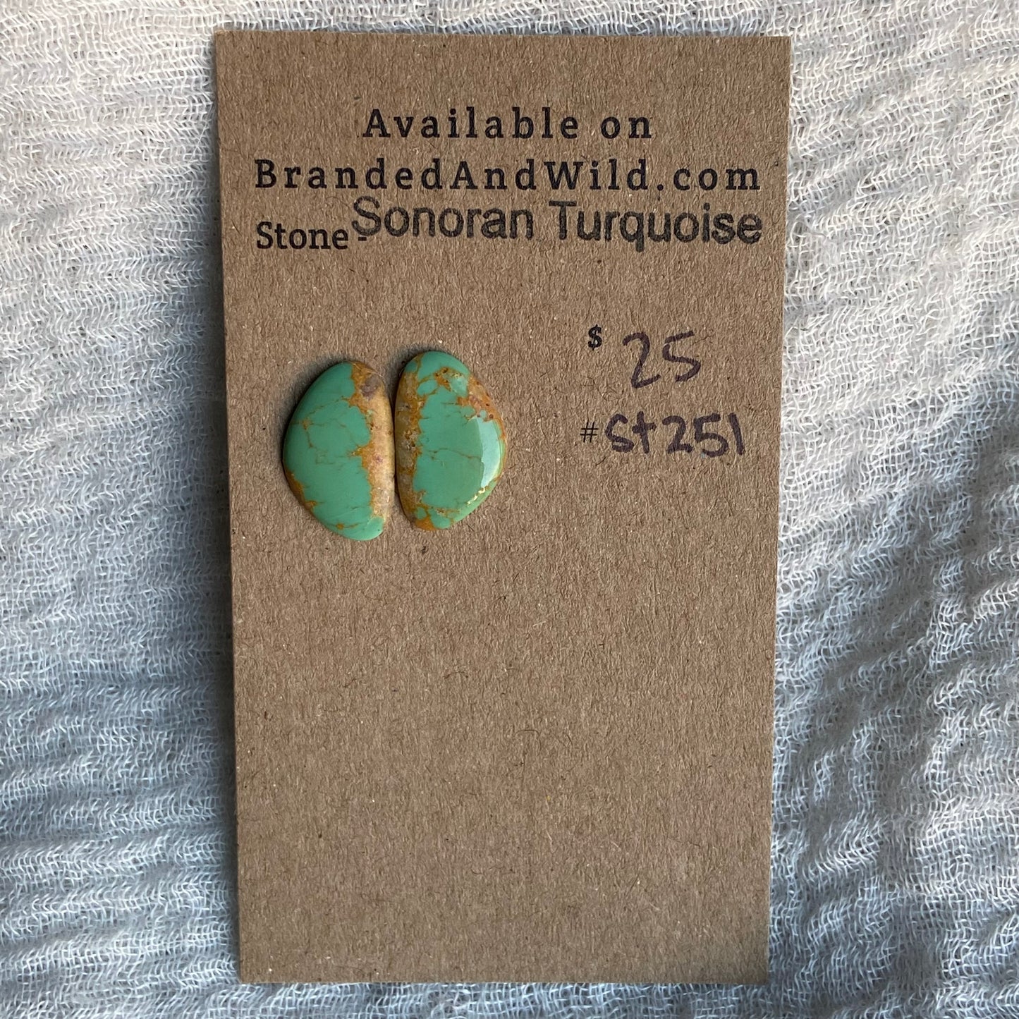 Sonoran Turquoise Cabochon - ST251