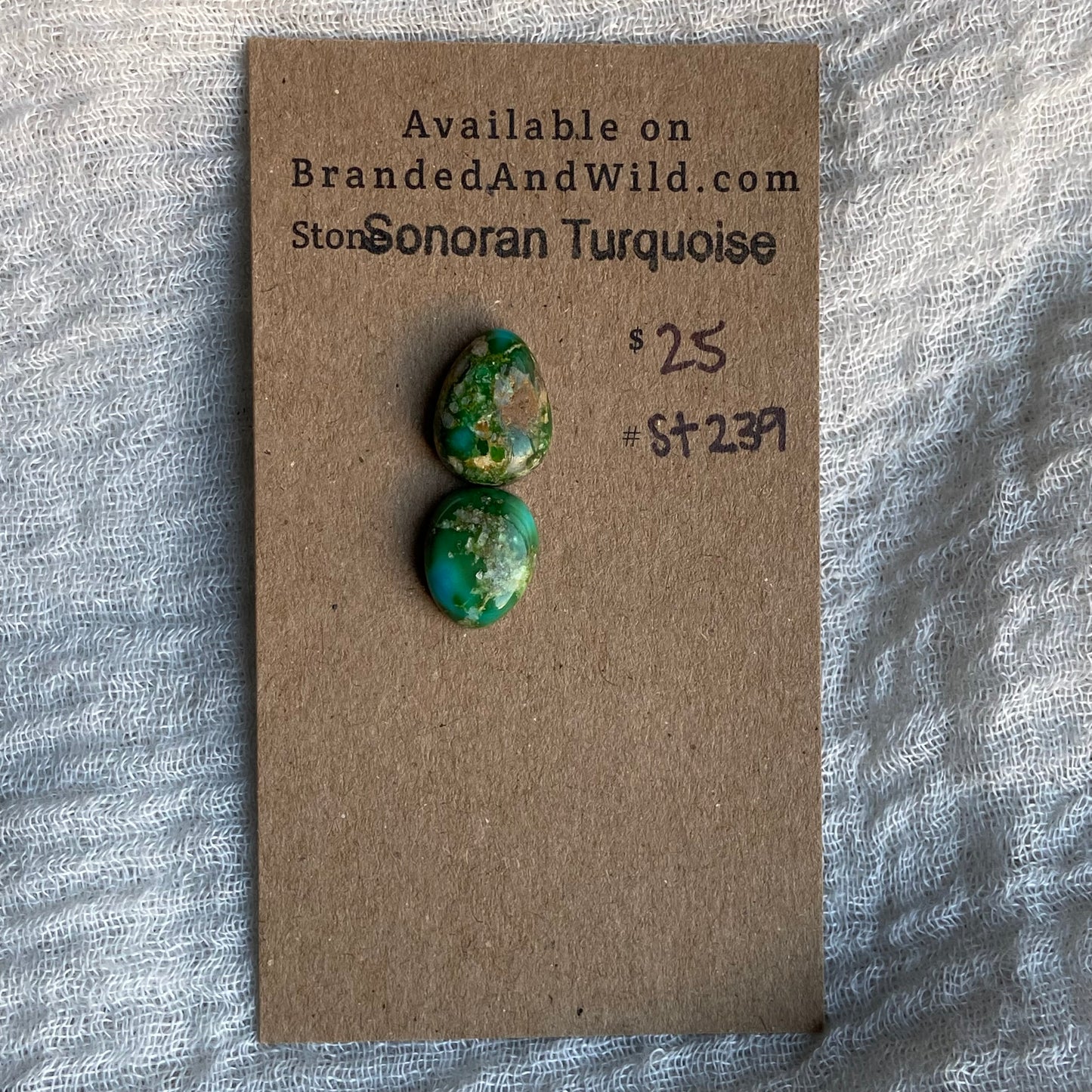 Sonoran Turquoise Cabochon - ST239