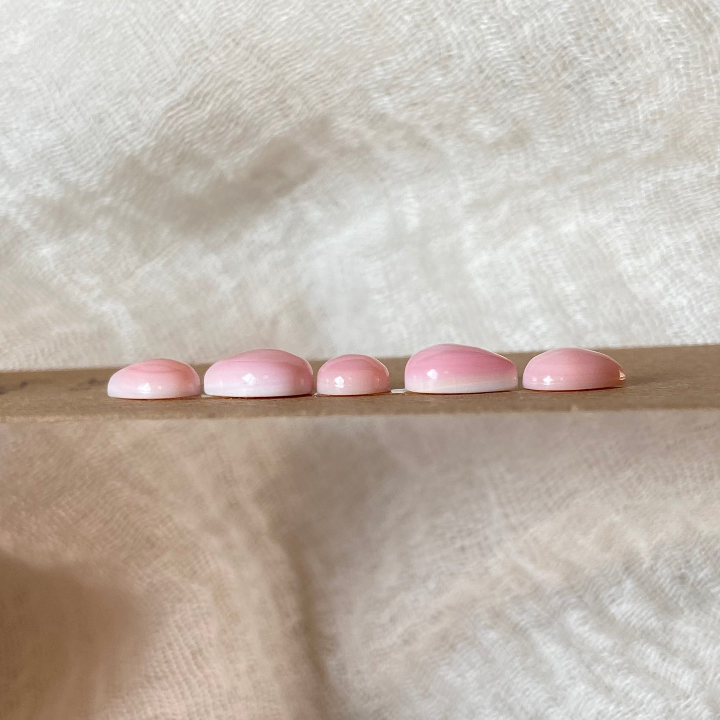 Pink Conch Cabochon - PC62