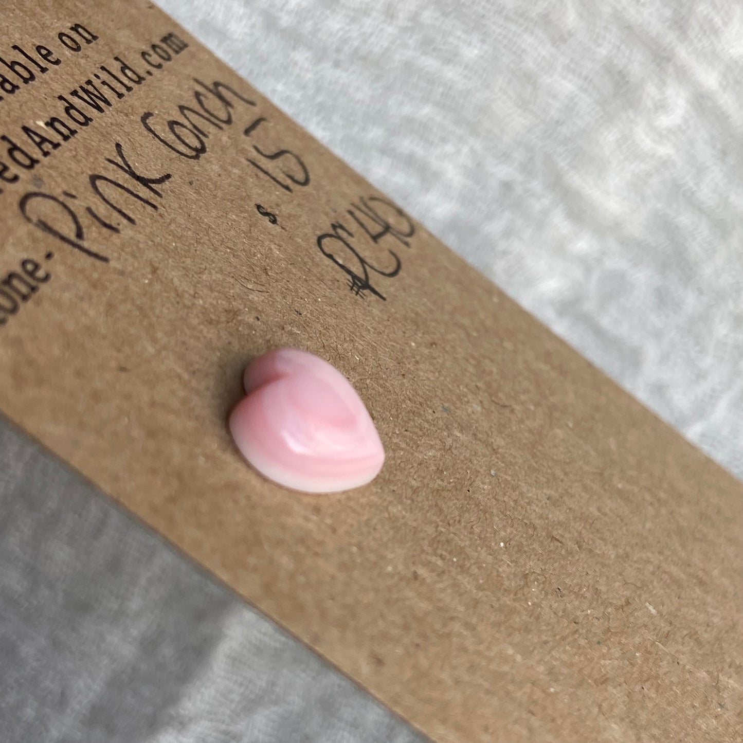 Pink Conch Cabochon - PC40