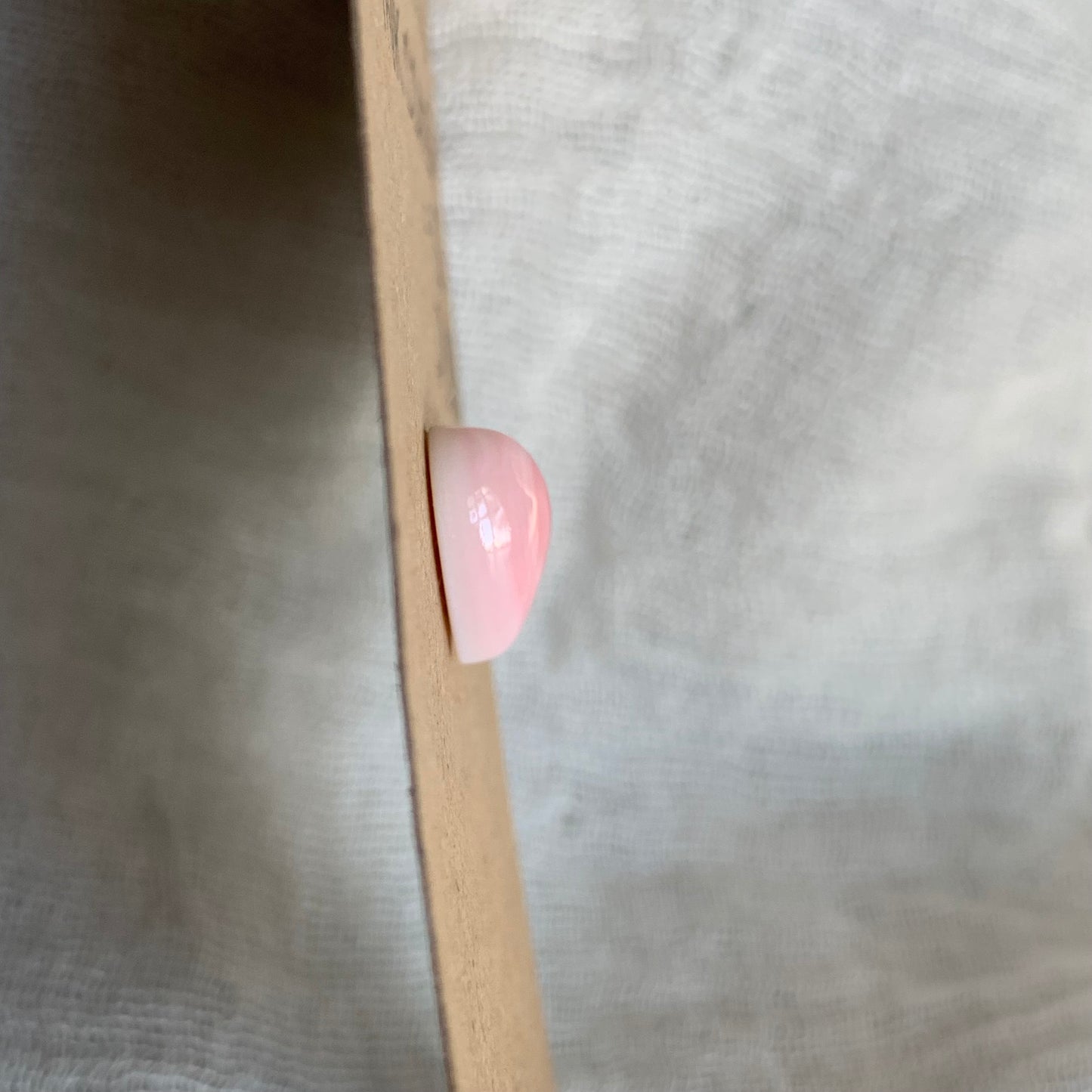 Pink Conch Cabochon - PC103