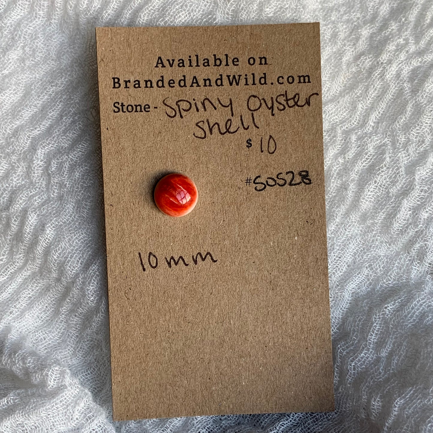 Spiny Oyster Shell Cabochon - SOS28