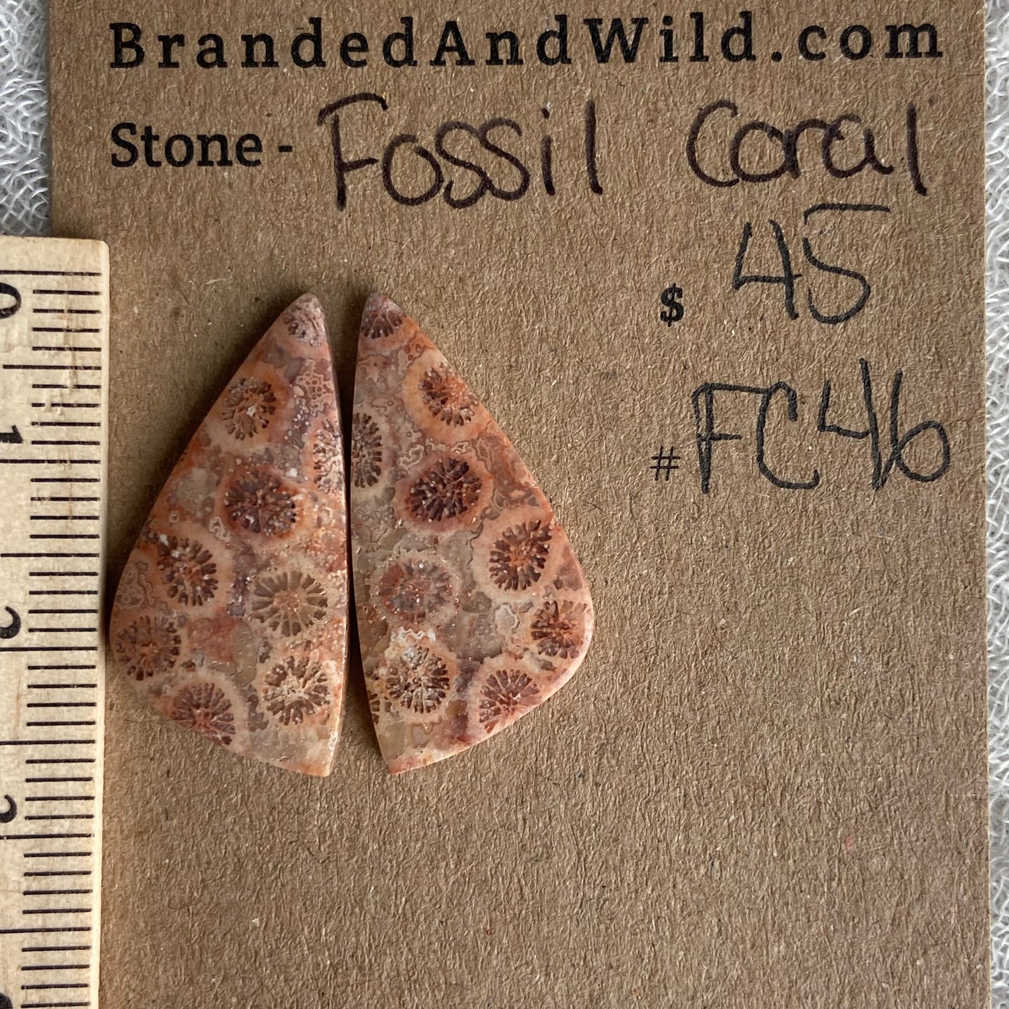 Fossil Coral Cabochon - FC46