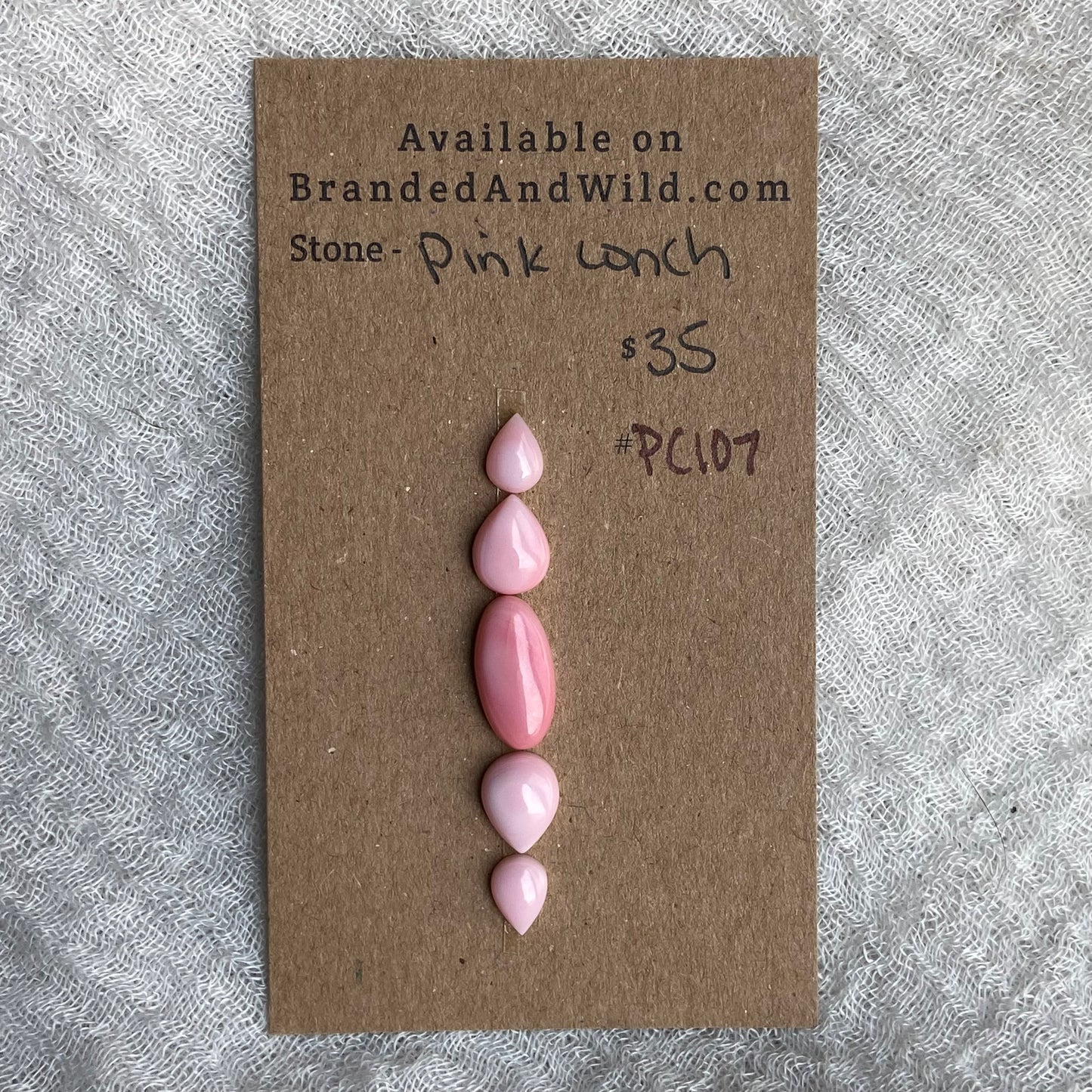 Pink Conch Cabochon - PC107