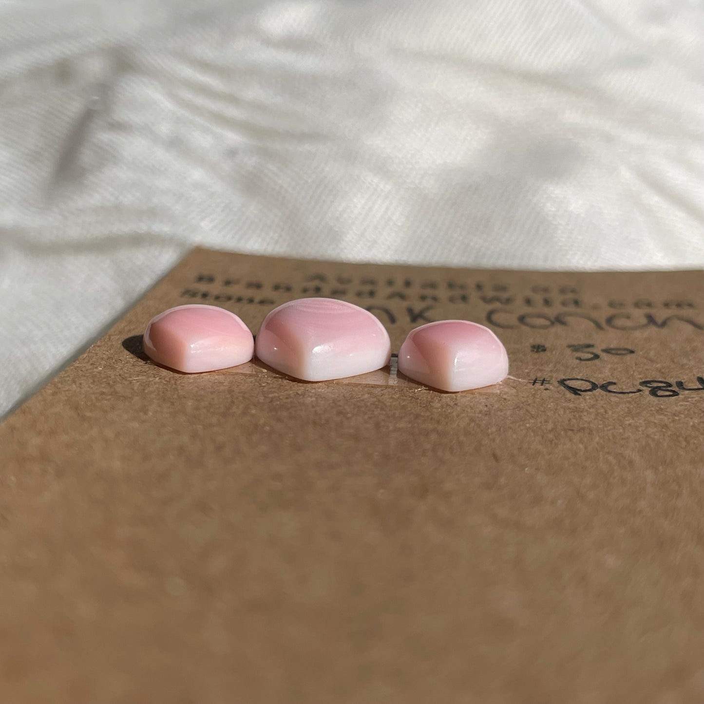 Pink Conch Cabochon - PC84 EFFC5385-B89A-42C9-A50B-21257FB7C7D3 Brandedandwild.com