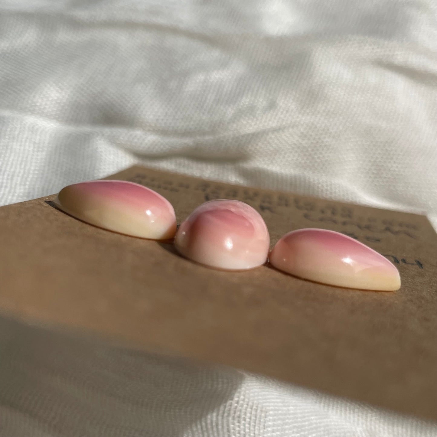 Pink Conch Cabochon - PC74 F0AB4571-0CFC-49A0-8E4B-03E1689A67BA Brandedandwild.com