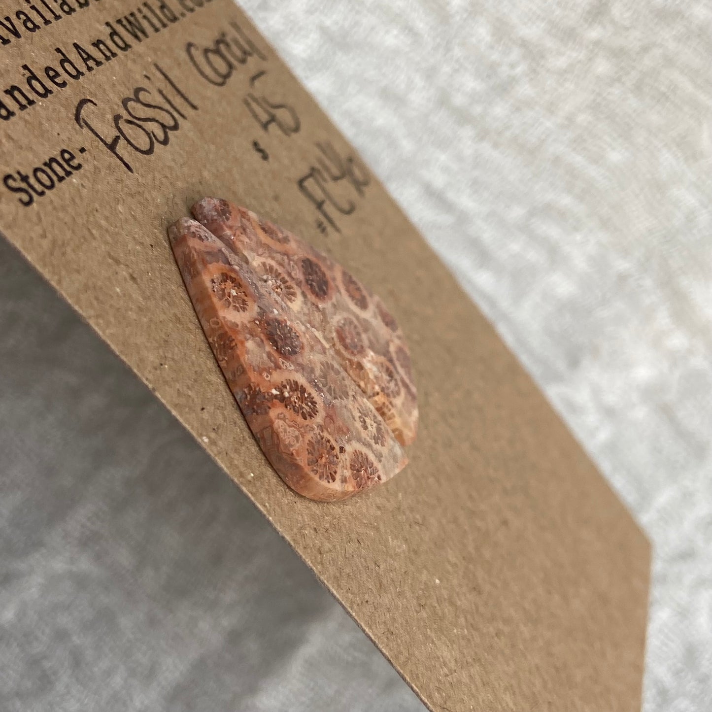 Fossil Coral Cabochon - FC46