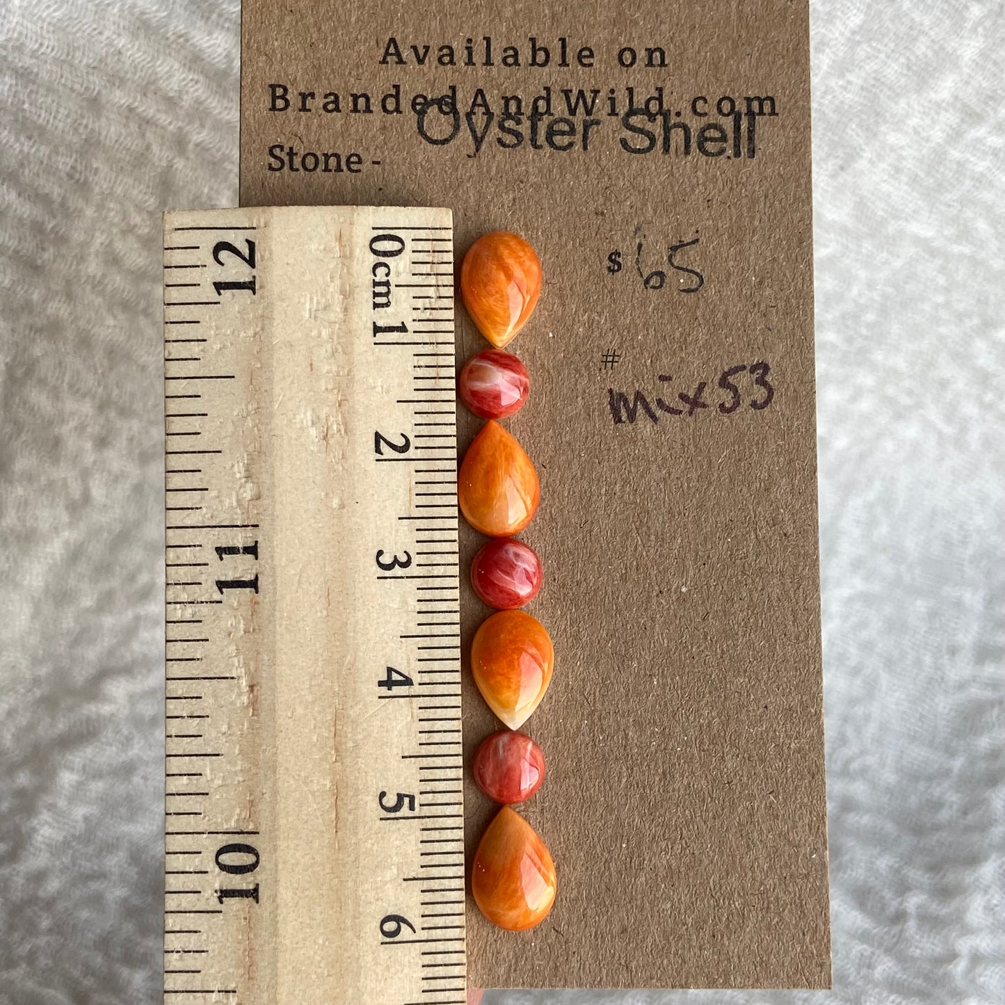 Oystershell Cabochon - MIX53