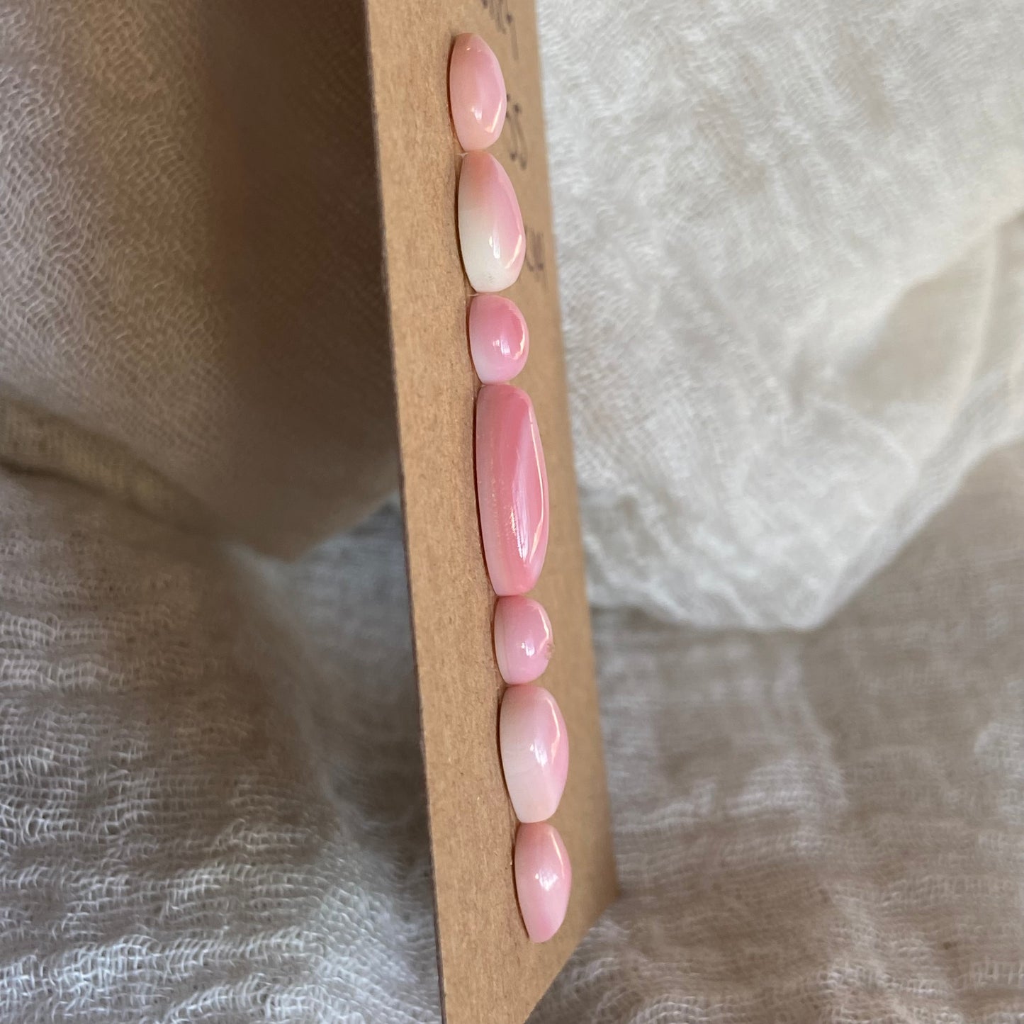 Pink Conch Cabochon - PC14