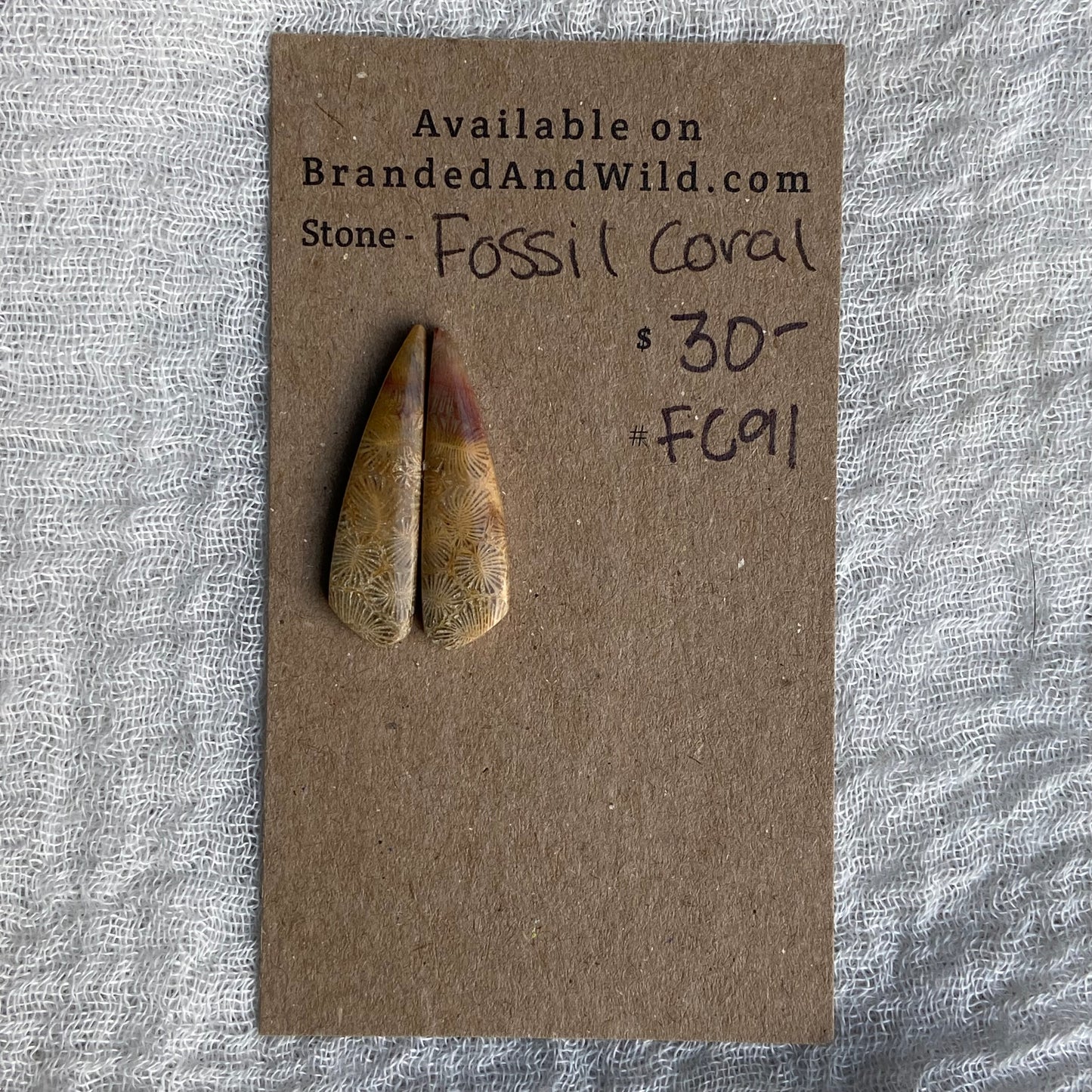 Fossil Coral Cabochon - FC91