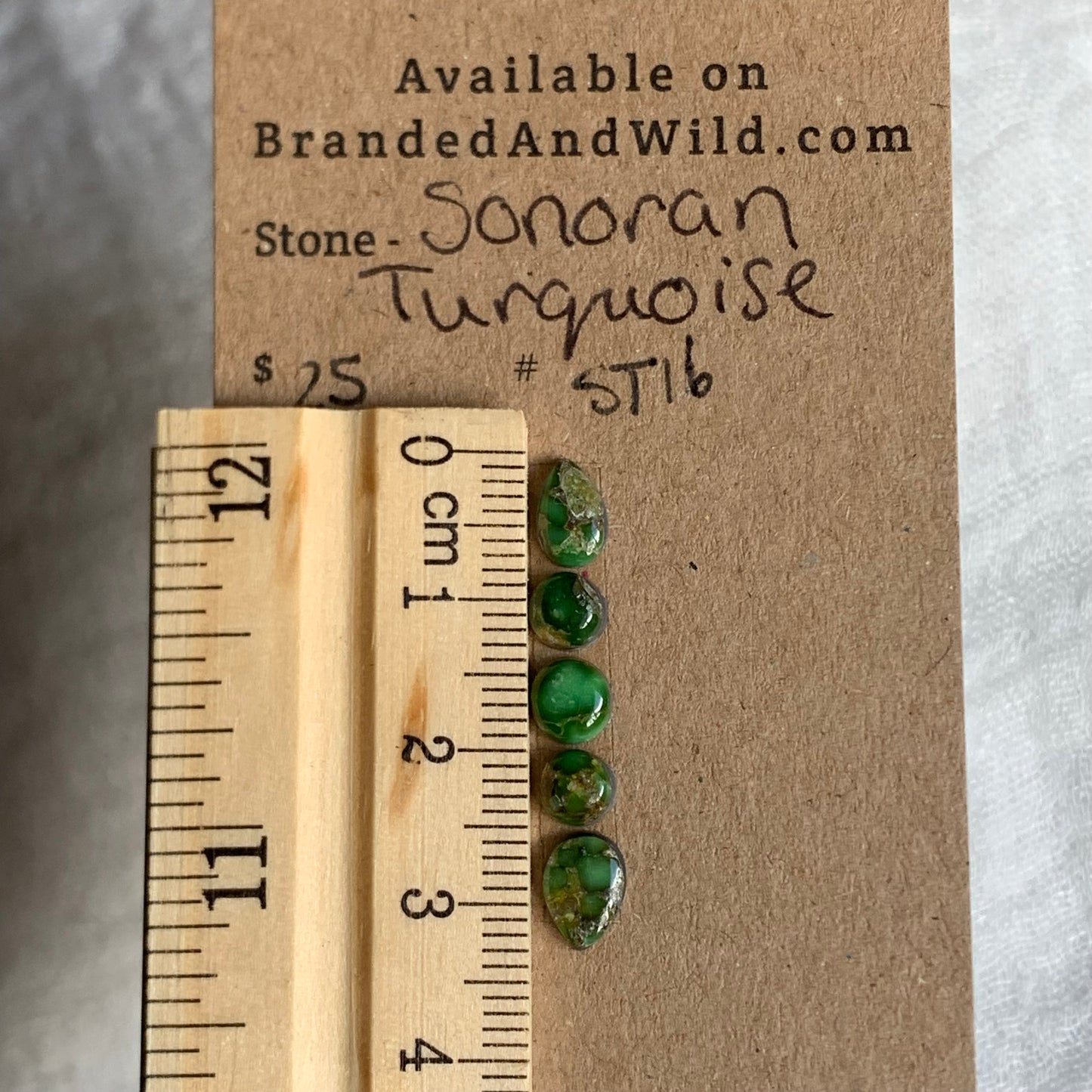 Sonoran Turquoise Cabochon - ST16