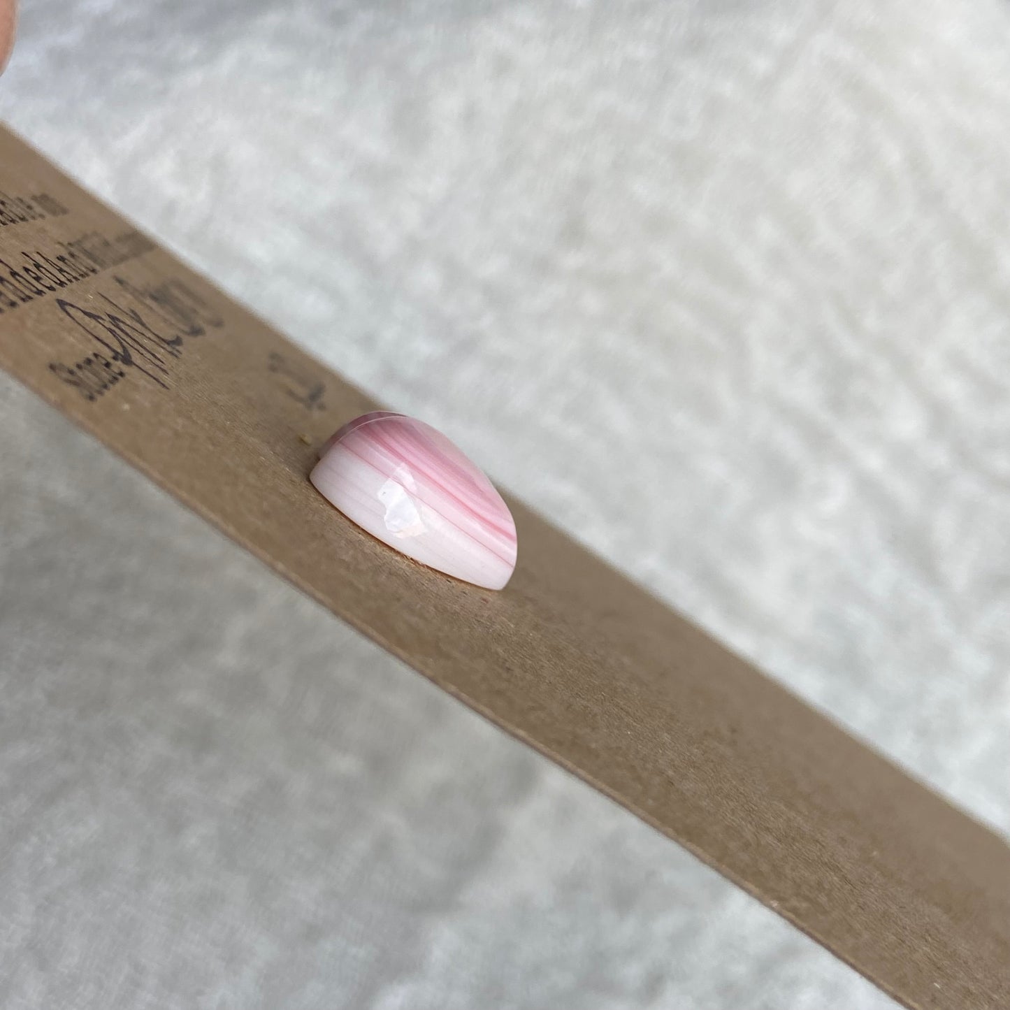 Pink Conch Cabochon - PC51
