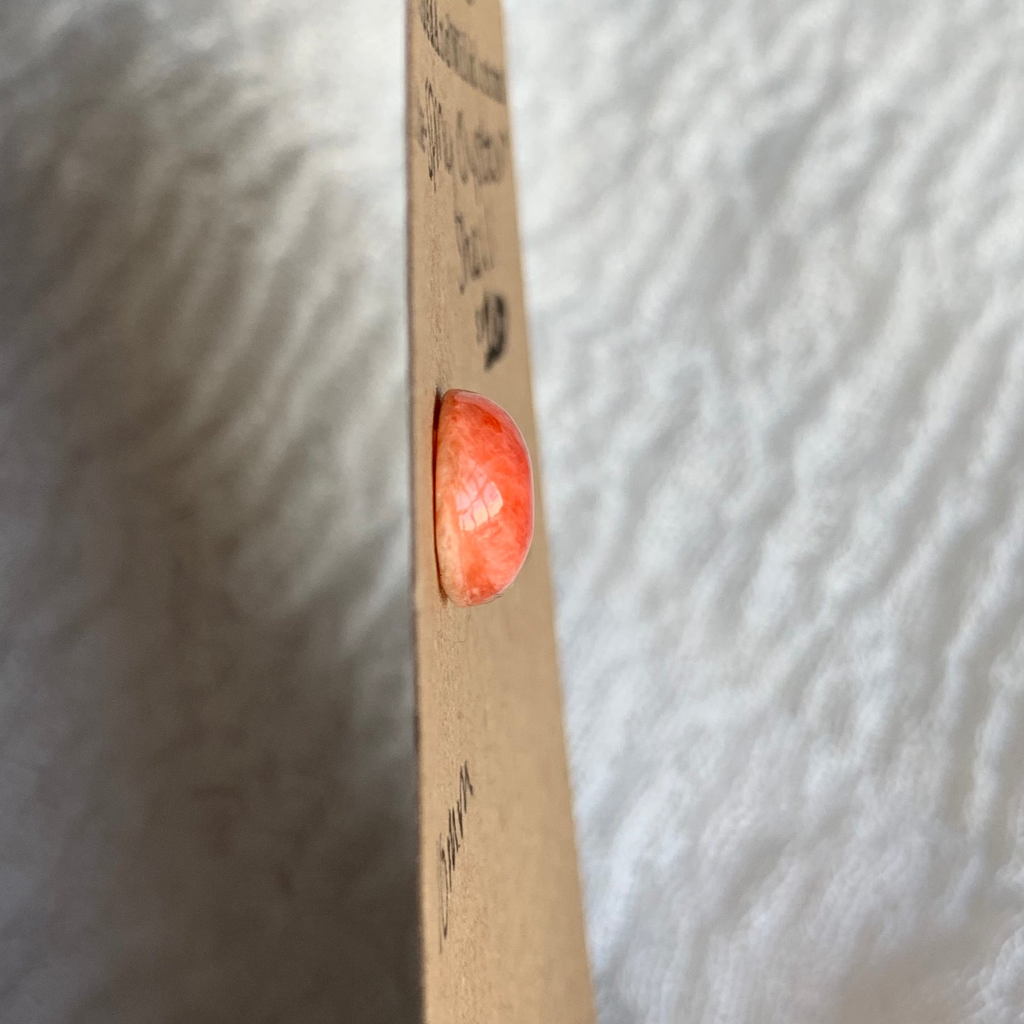 Spiny Oyster Shell Cabochon - SOS18