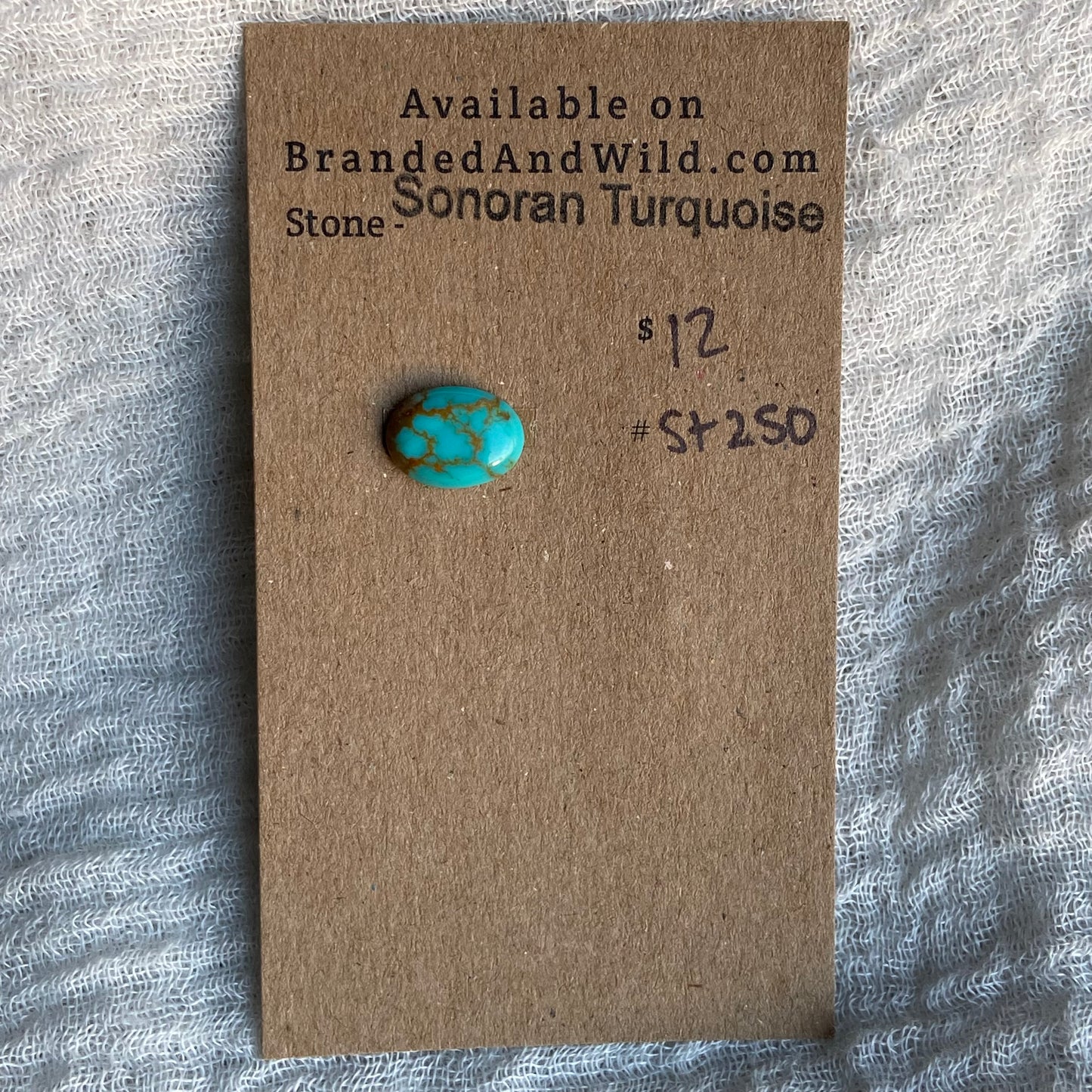Sonoran Turquoise Cabochon - ST250