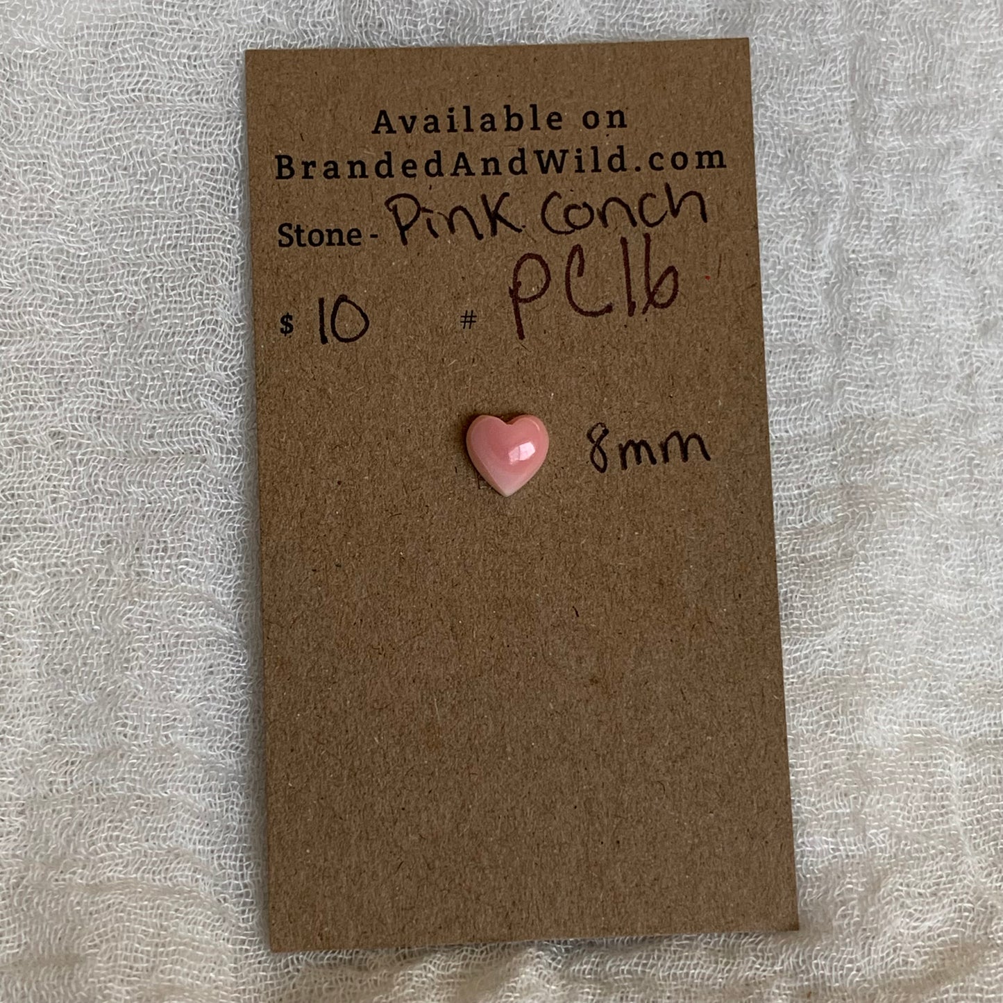 Pink Conch Cabochon - PC16
