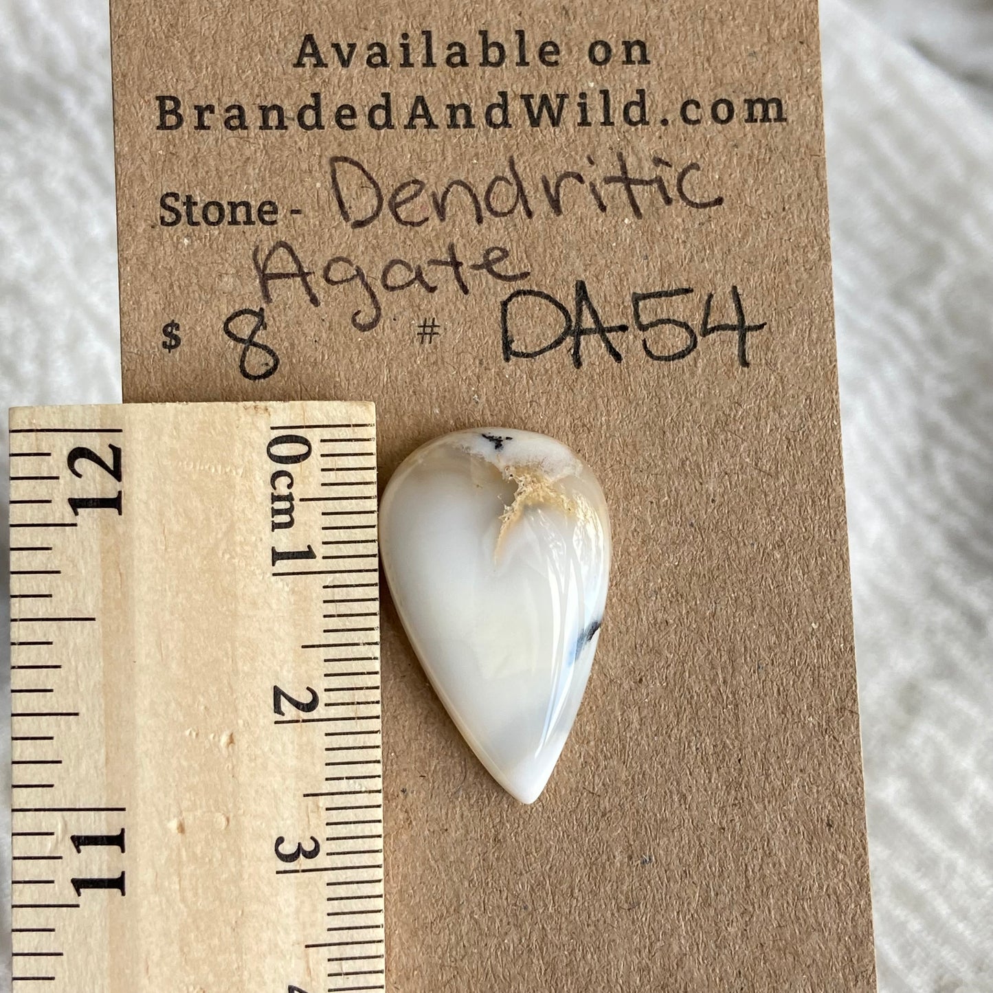 Dendritic Agate Cabochon - DA54