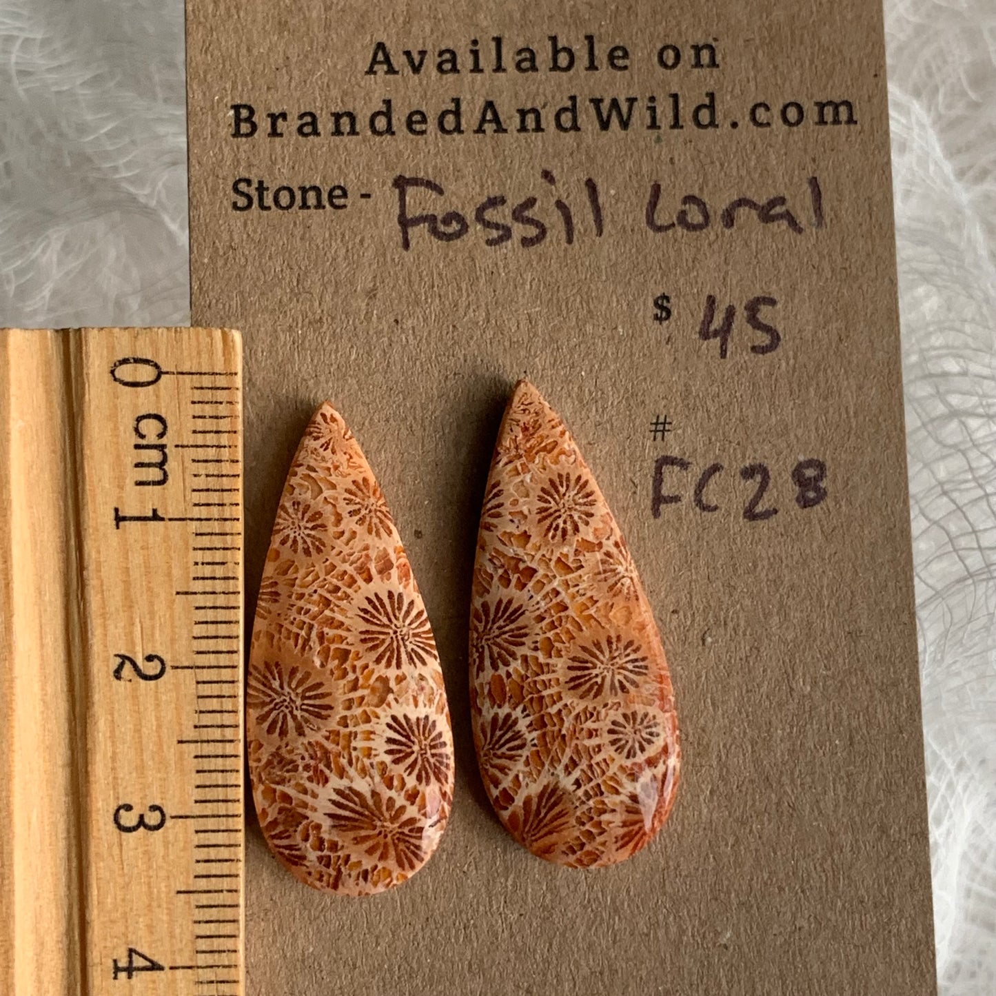 Fossil Coral Cabochon - FC28