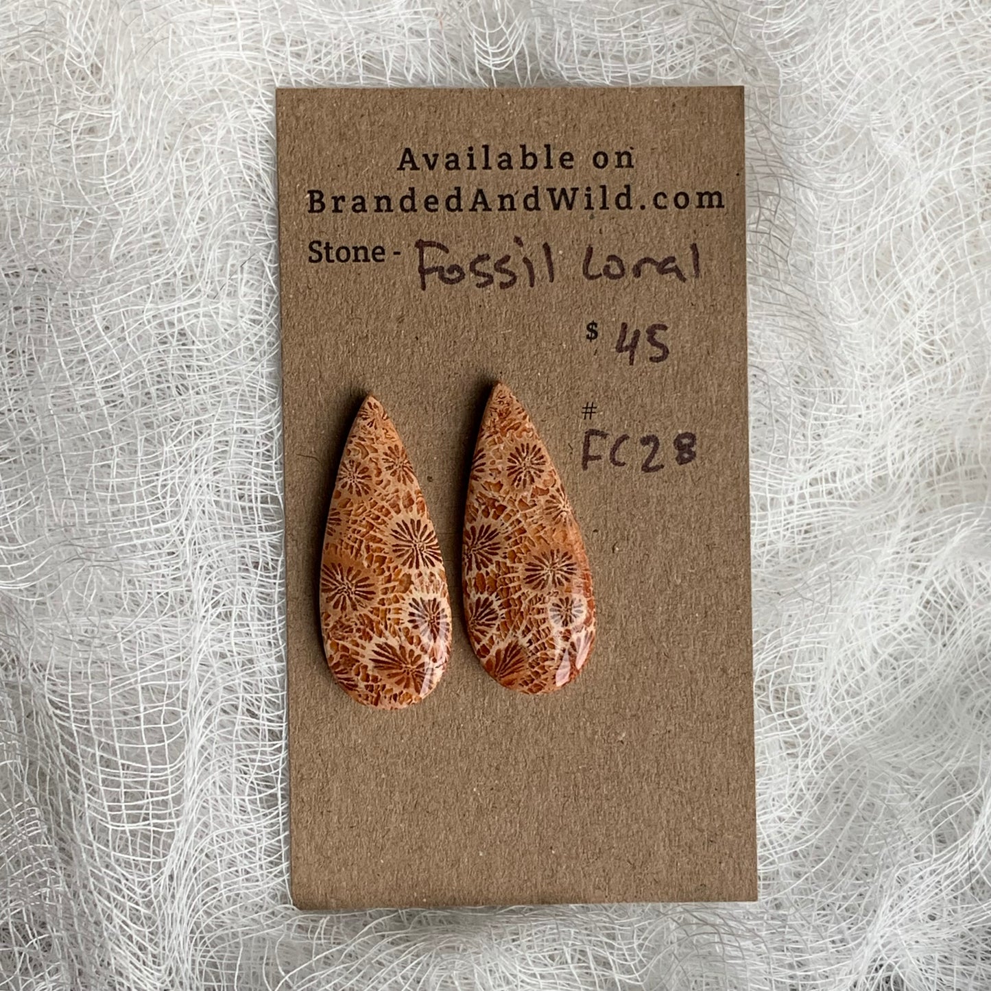 Fossil Coral Cabochon - FC28