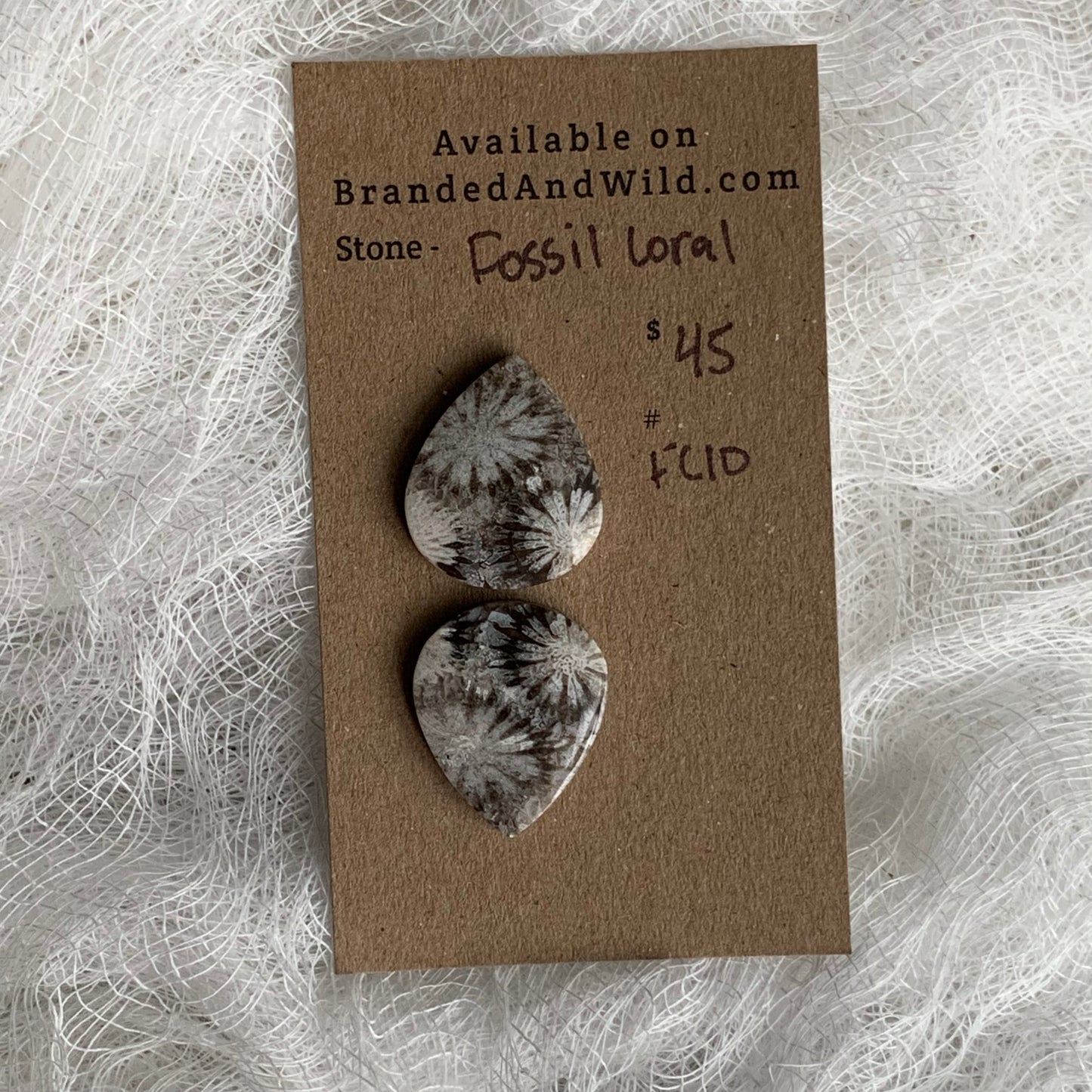 Fossil Coral Cabochon - FC10