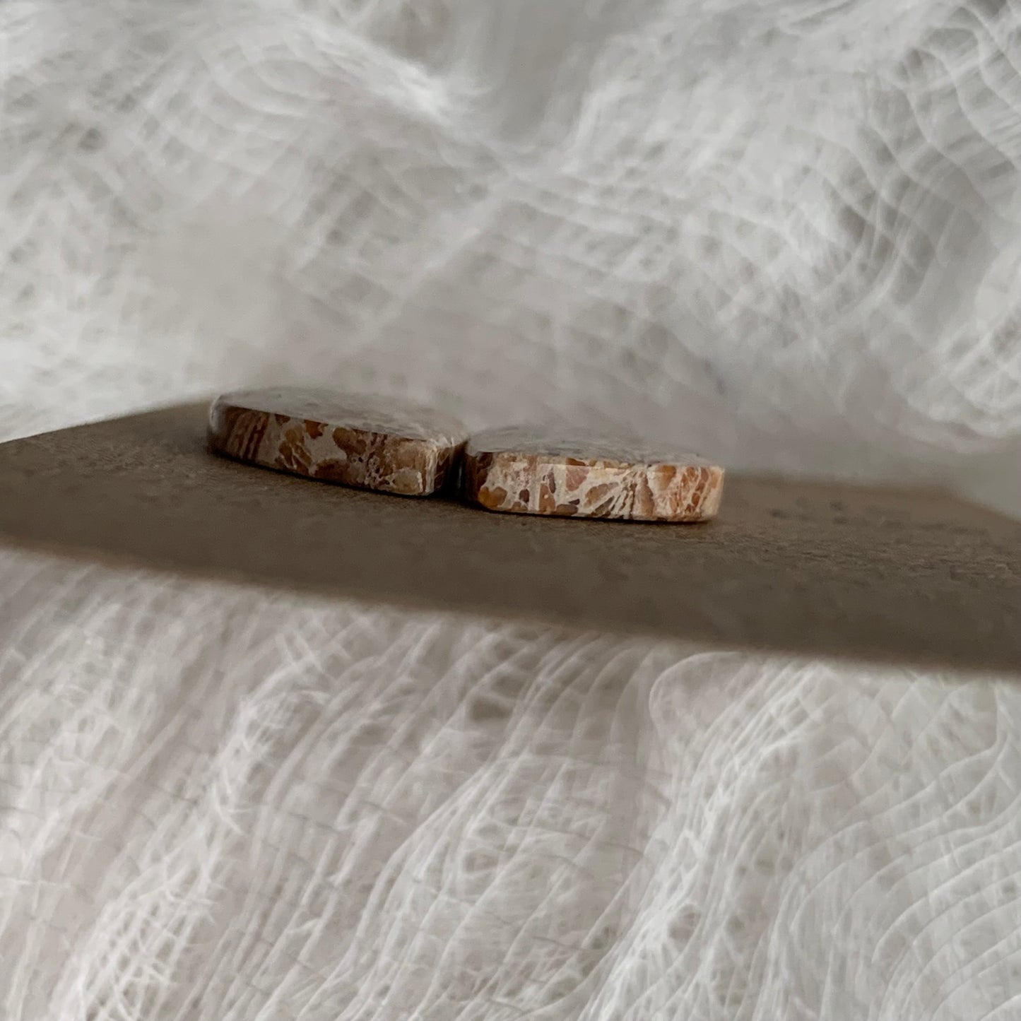Fossil Coral Cabochon - FC06