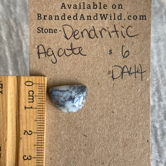 Dendritic Agate Cabochon - DA44