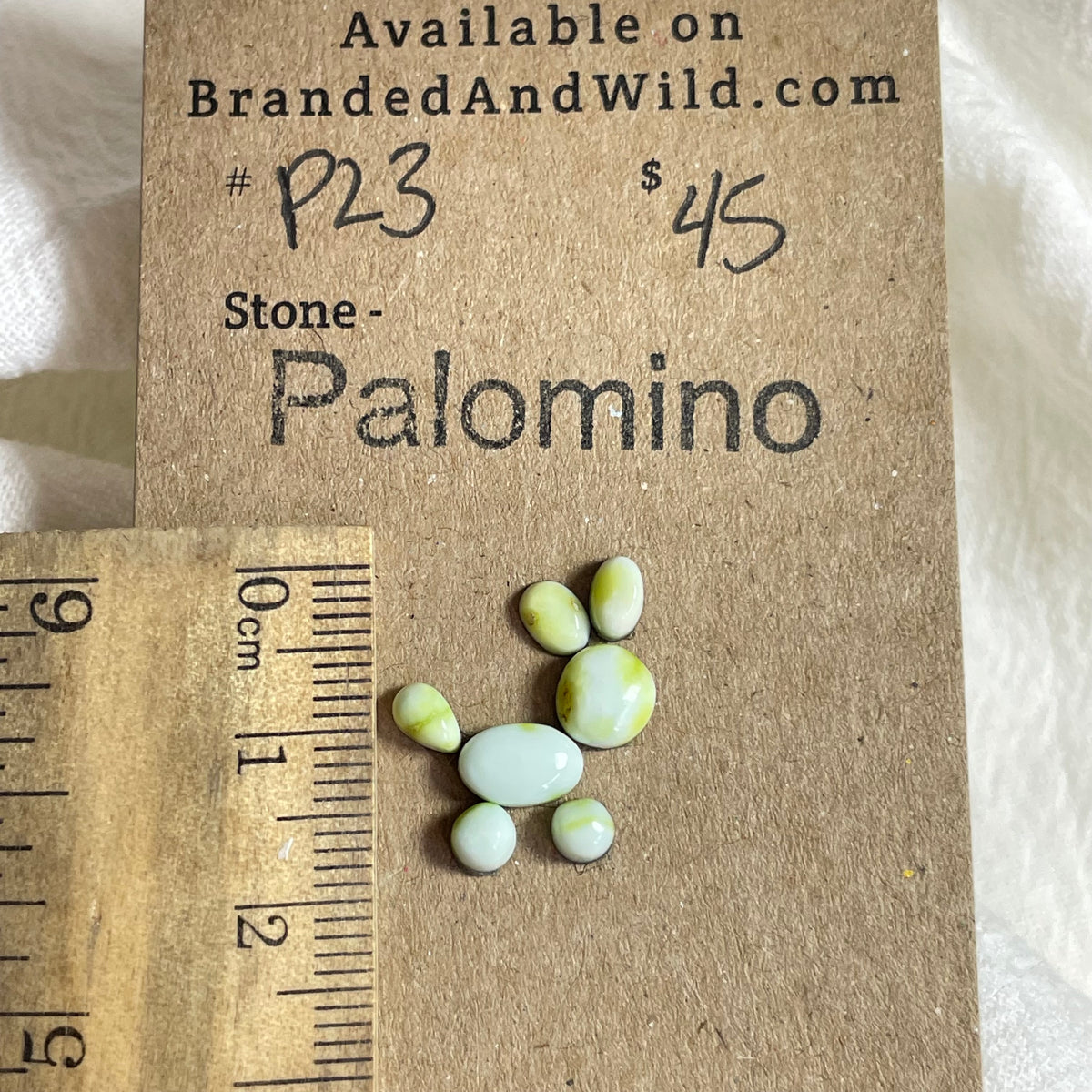 Palomino Cabochon - P23 004C7A28-CD9E-4B87-90D2-755C1AD2ABA8 Brandedandwild.com