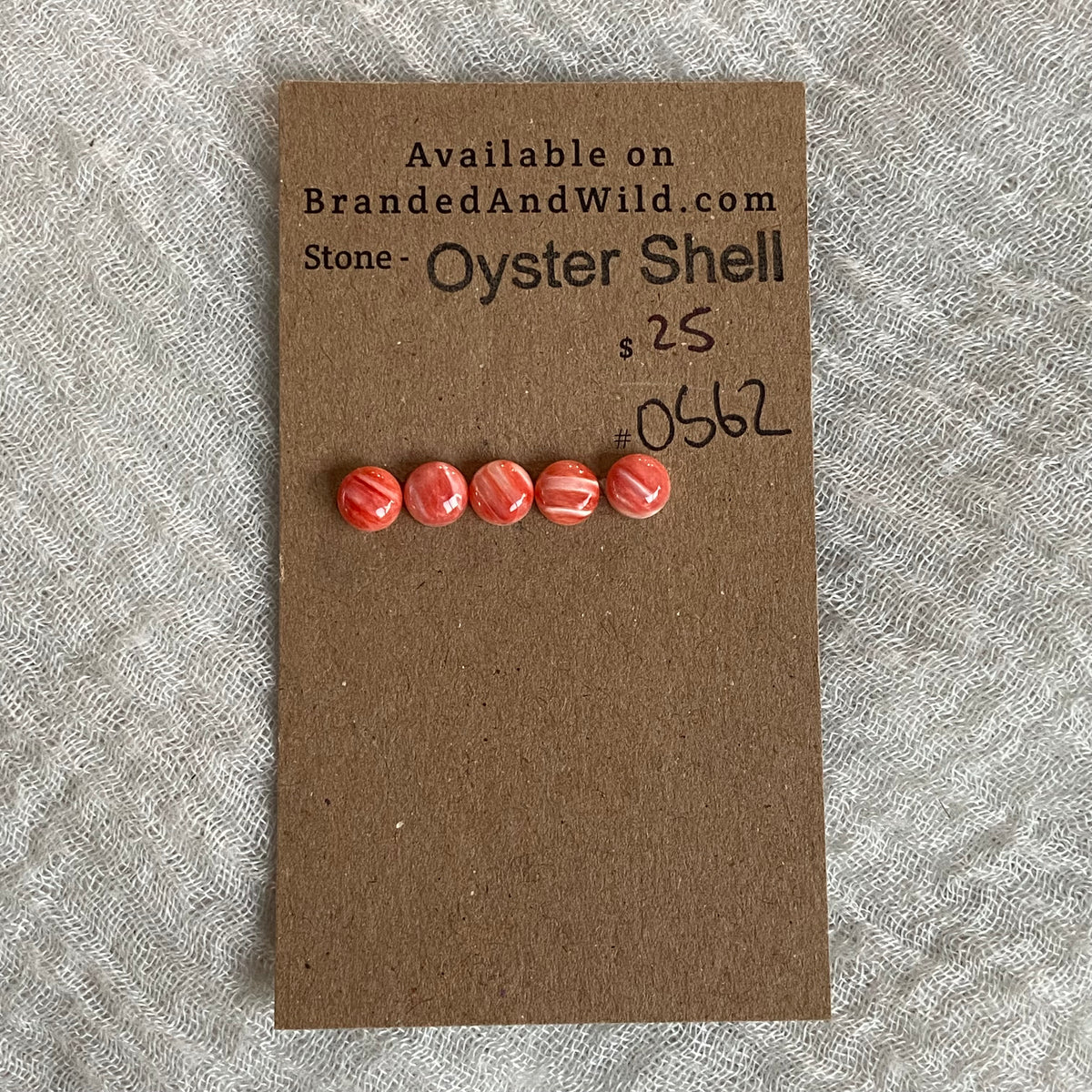 Oyster Shell Cabochon - OS62