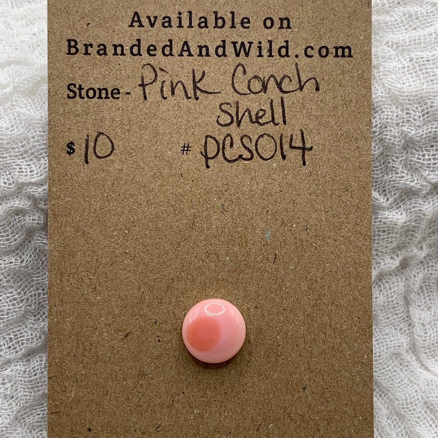 Pink Conch Cabochon - PCS014