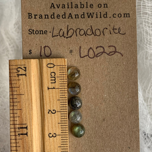LLabradorite Cabochon - L022