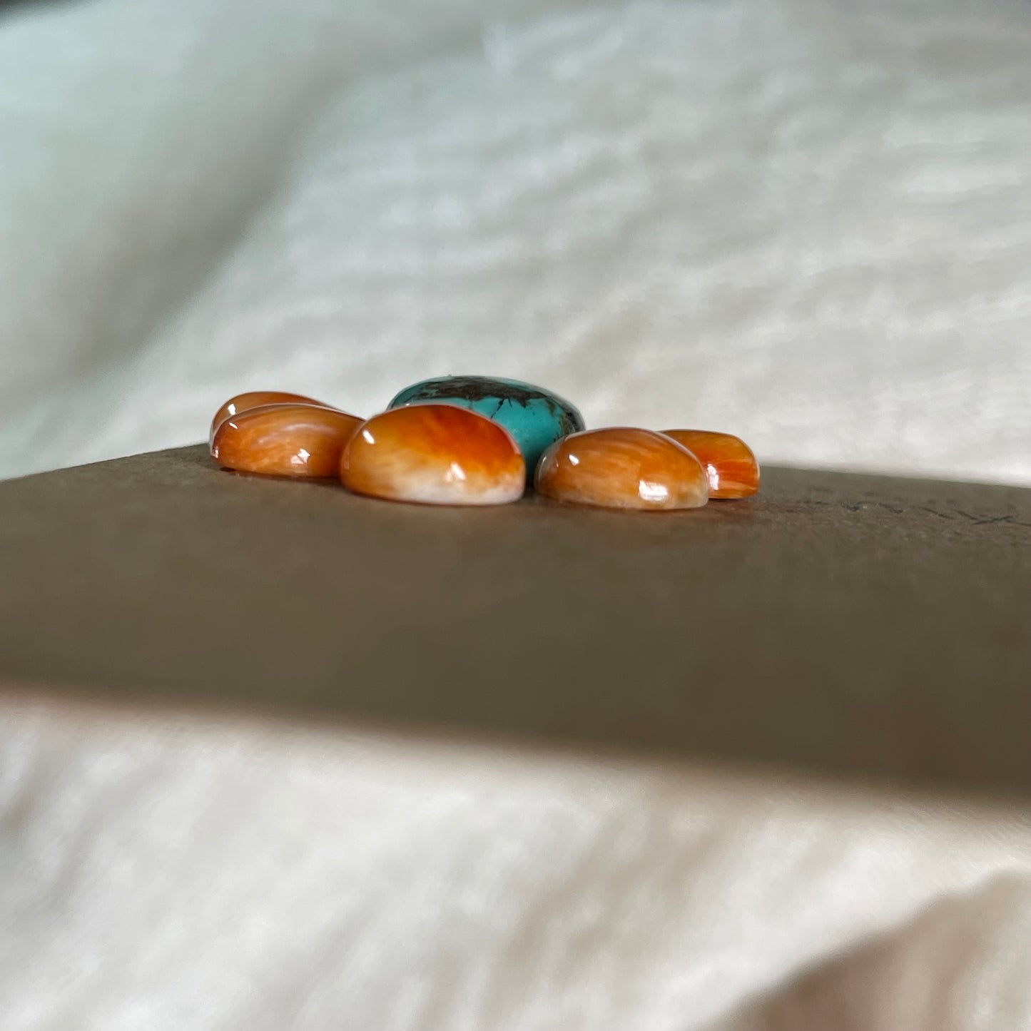Turquoise / Oyster Shell Cabochon - MIX22 00C5B815-EBD9-4D4E-86E9-B54319D61991 Brandedandwild.com