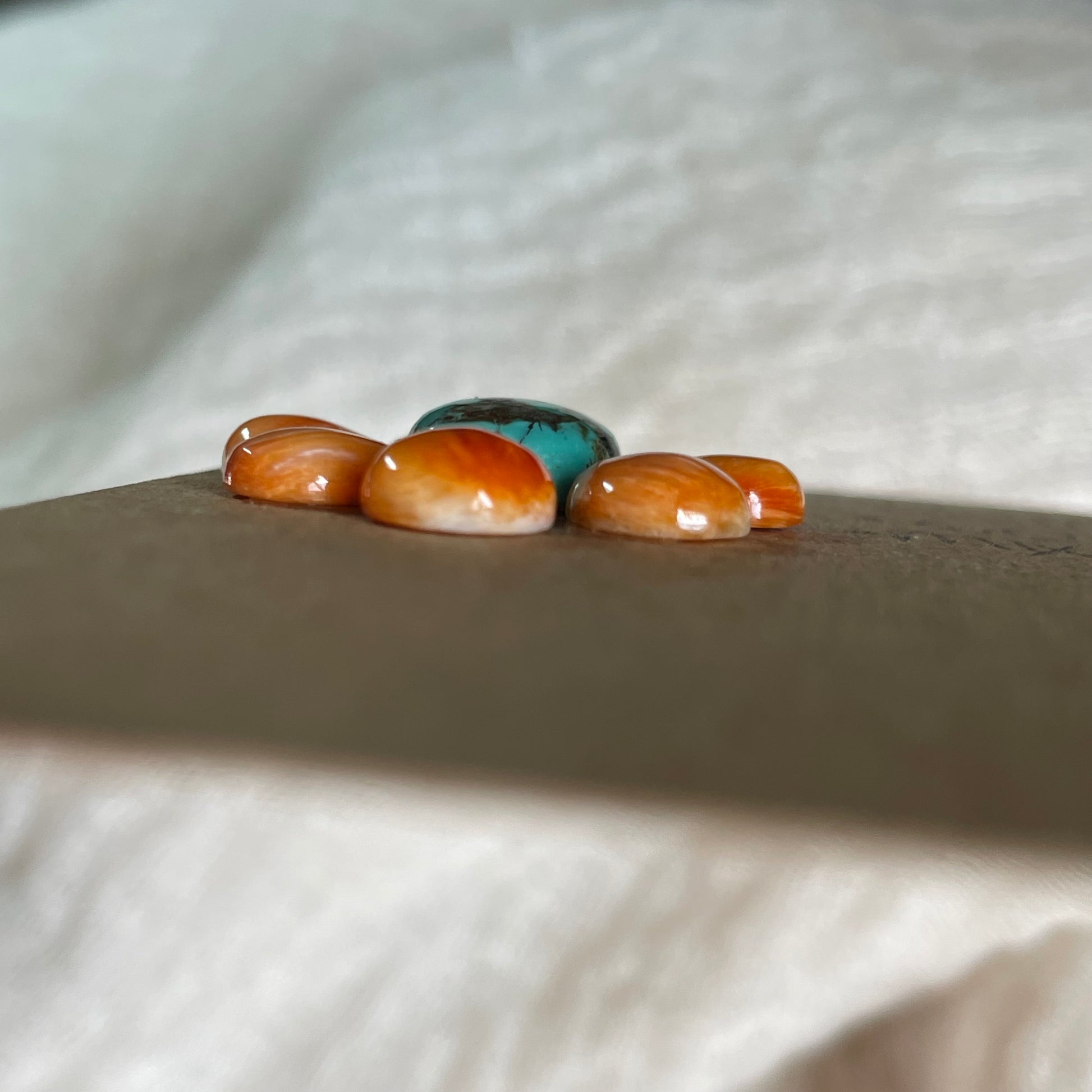 Turquoise / Oyster Shell Cabochon - MIX22 00C5B815-EBD9-4D4E-86E9-B54319D61991 Brandedandwild.com