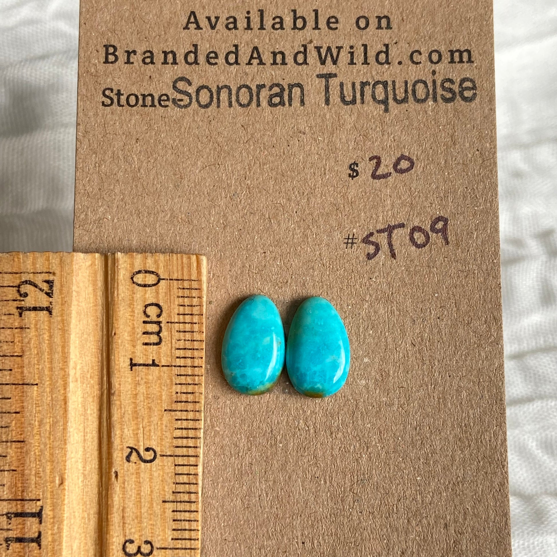 Sonoran Turquoise Cabochon - ST09 00D06A27-2E2E-4176-A1E7-585EC1B708E7 Brandedandwild.com