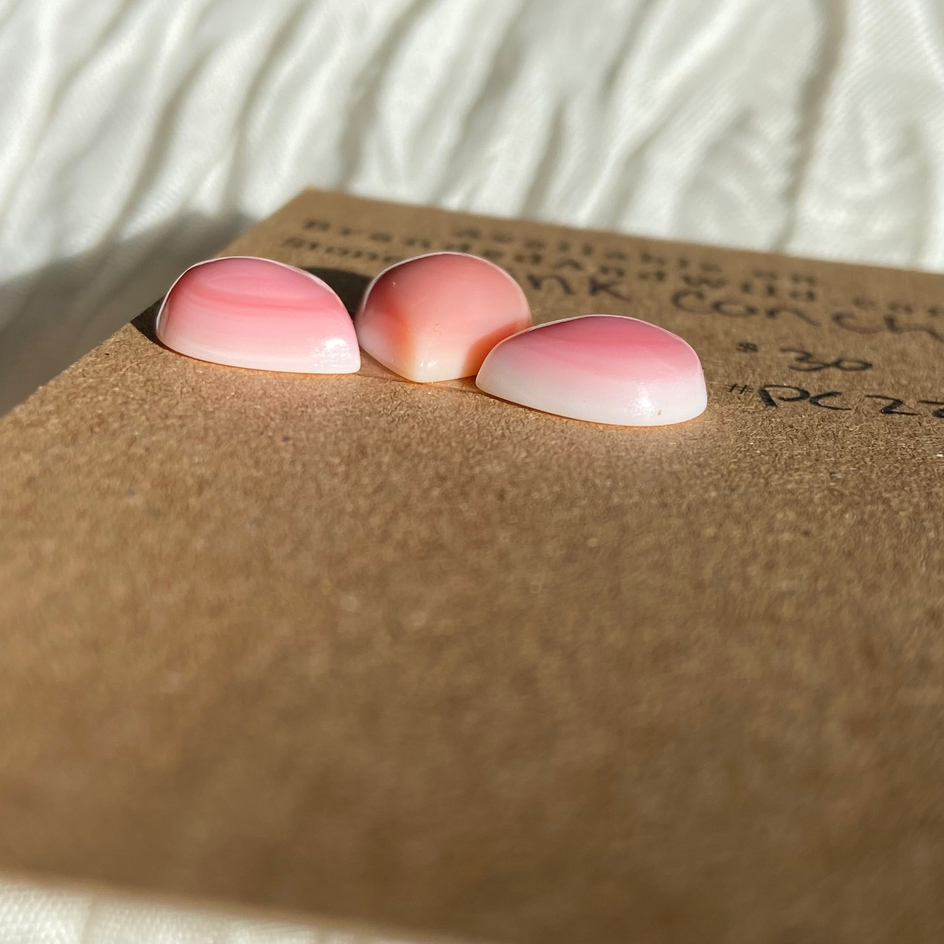 Pink Conch Cabochon - PC22 0101CFD0-80C3-4DA8-AE7E-5D85A4C953E7 Brandedandwild.com