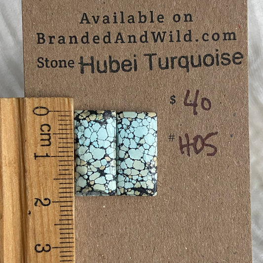 Hubei Turquoise Cabochon - H05