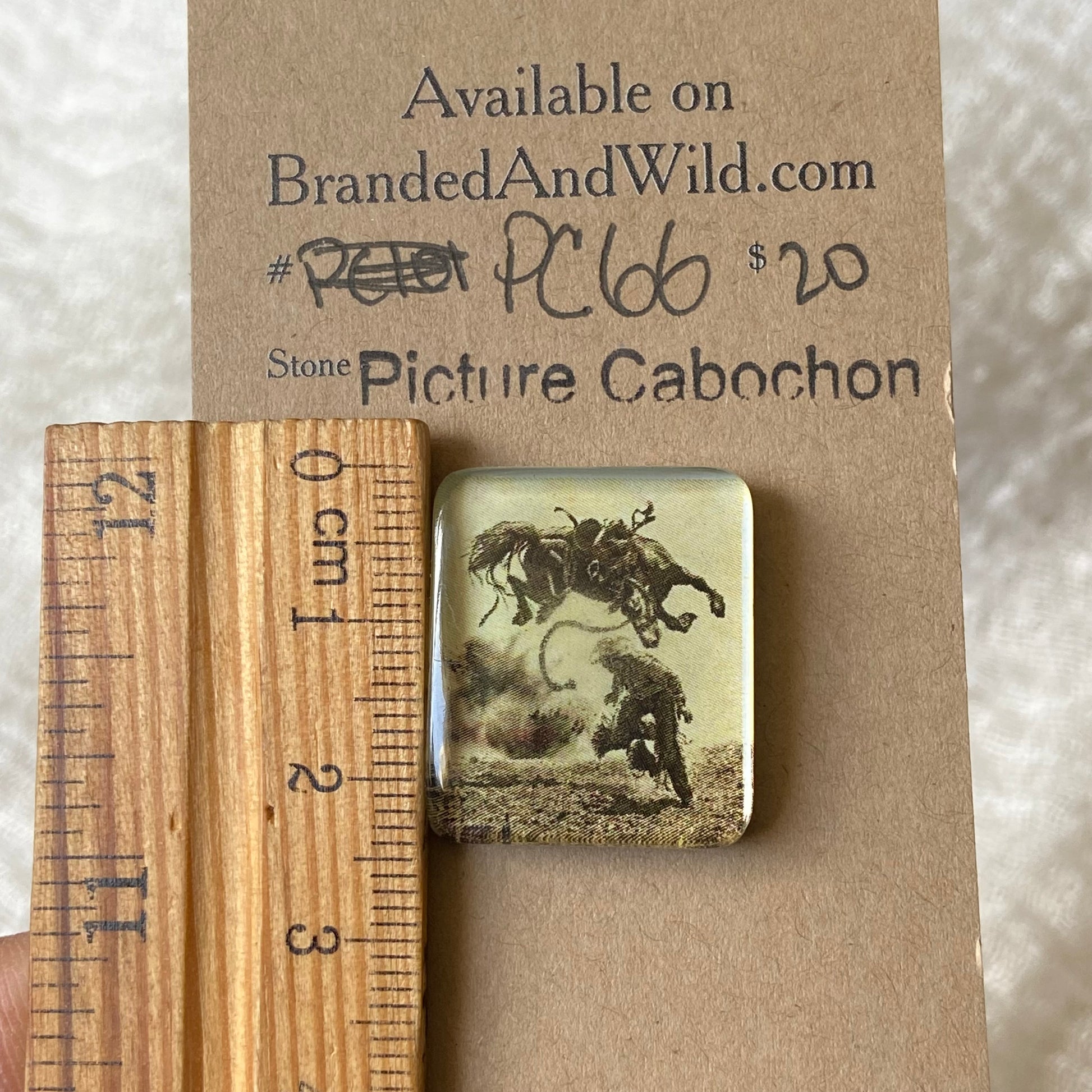 Glass Picture - Cabochon - PC66 014A311D-79F3-4744-BADC-432E763450D0 Brandedandwild.com
