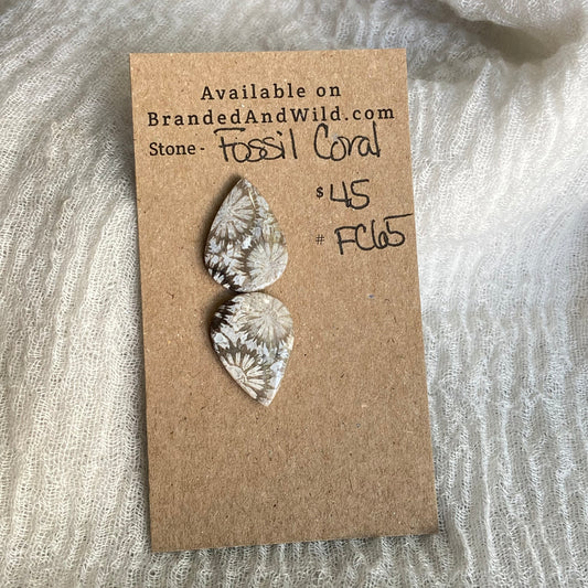 Fossil Coral Cabochon - FC65