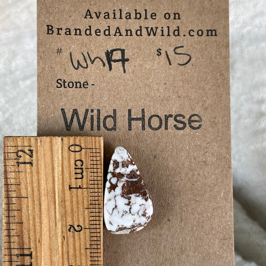 Wild Horse Cabochon - WH19 017DBF17-2A70-4B1C-A3E4-44D6E1226D4A Brandedandwild.com