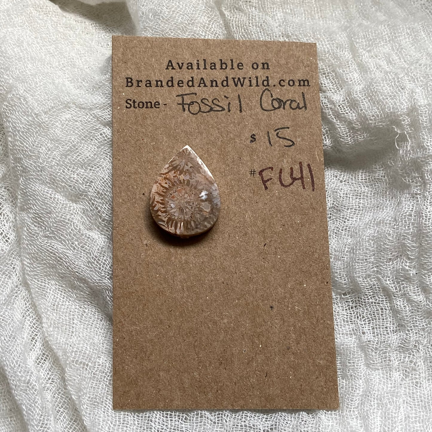 Fossil Coral Cabochon - FC41