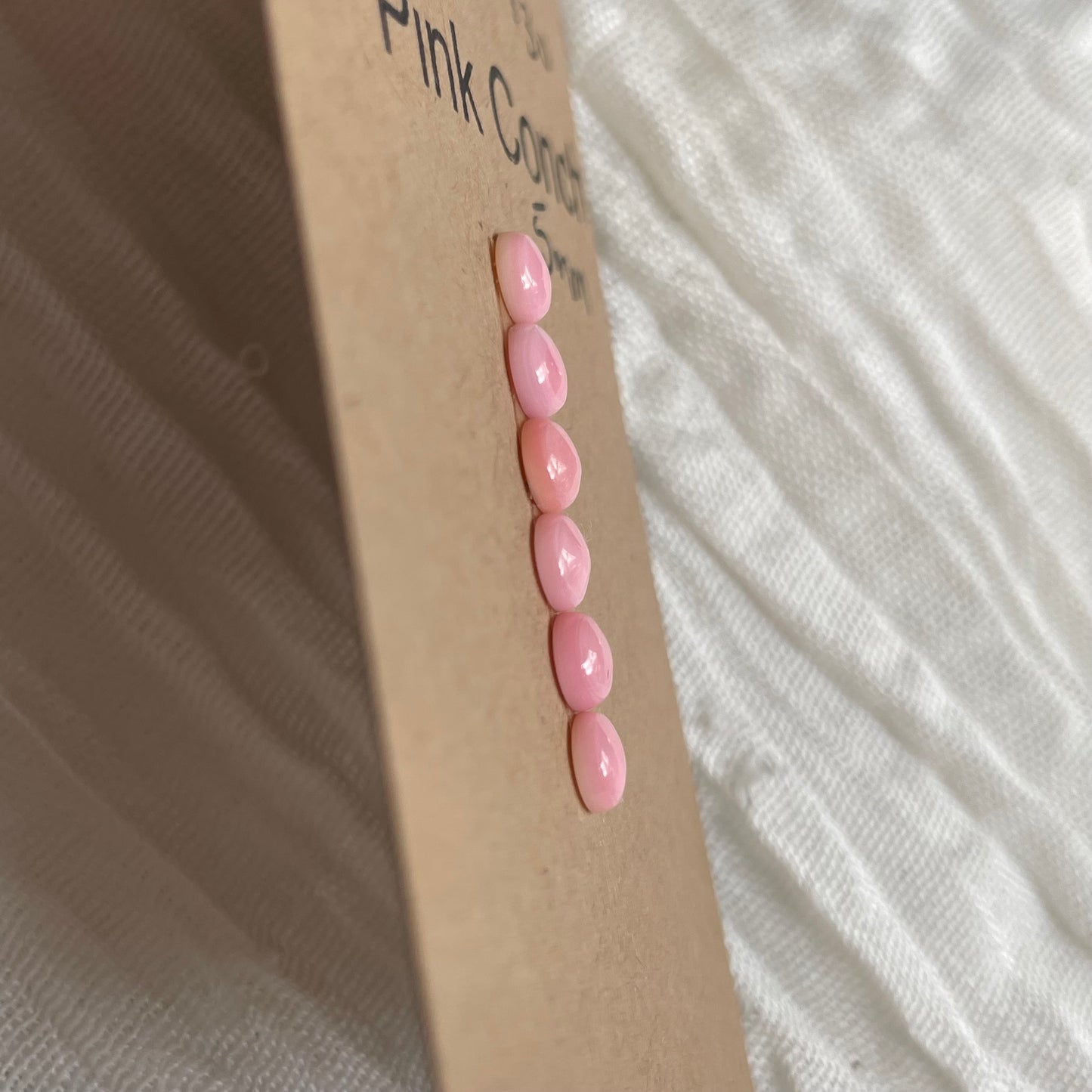 Pink Conch Cabochon - PC30 01DAF7AA-85D2-4E14-83B8-7B84C8102E0B Brandedandwild.com
